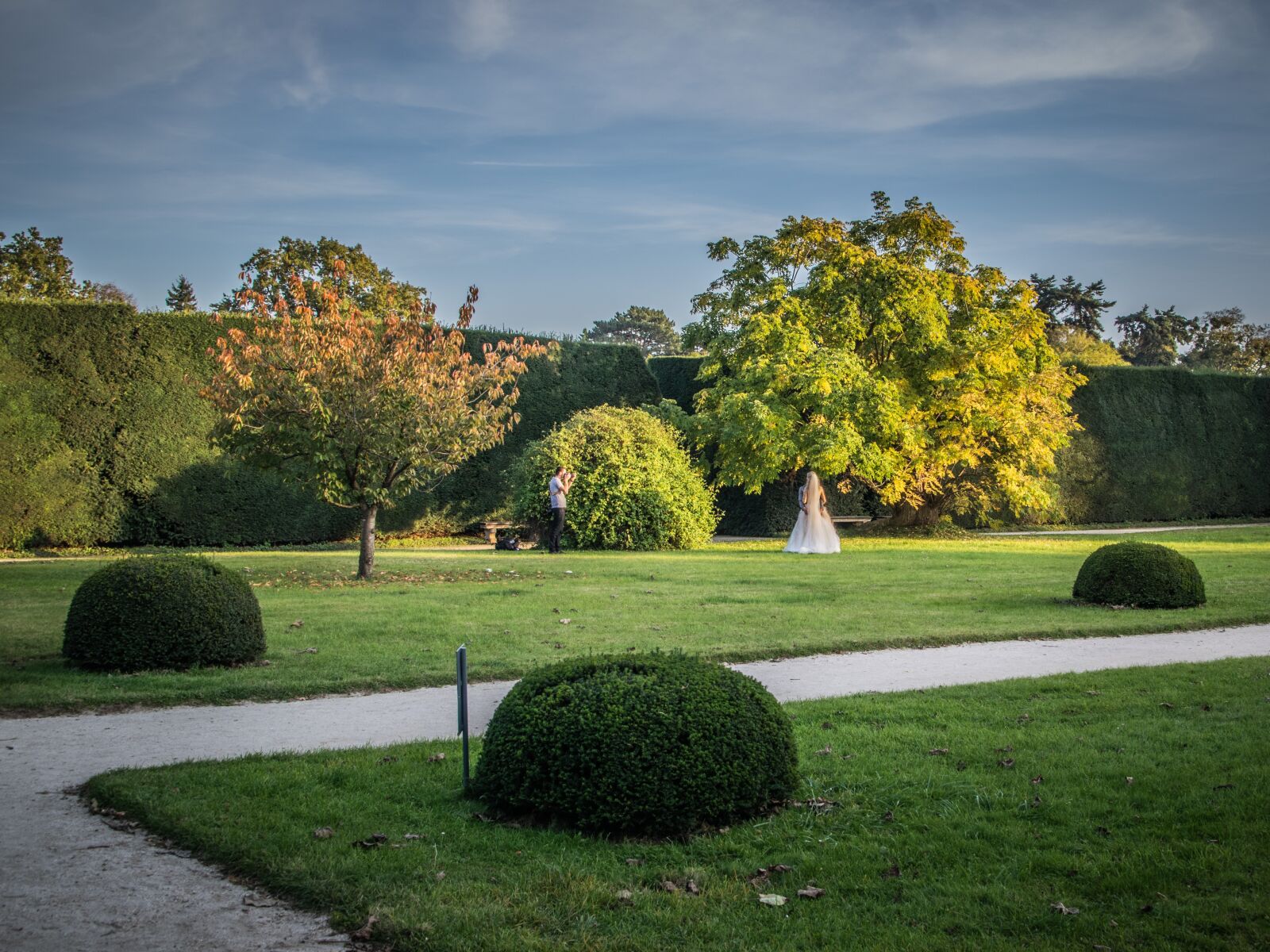 Nikon D5300 sample photo. Park, trees, landscape photography