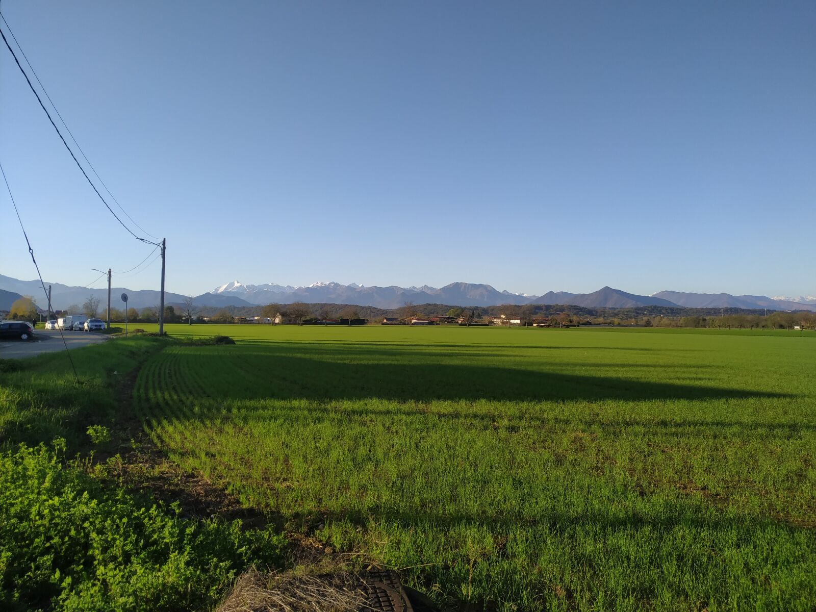 Xiaomi MI 8 Lite sample photo. Wheat field, piedmont, alps photography