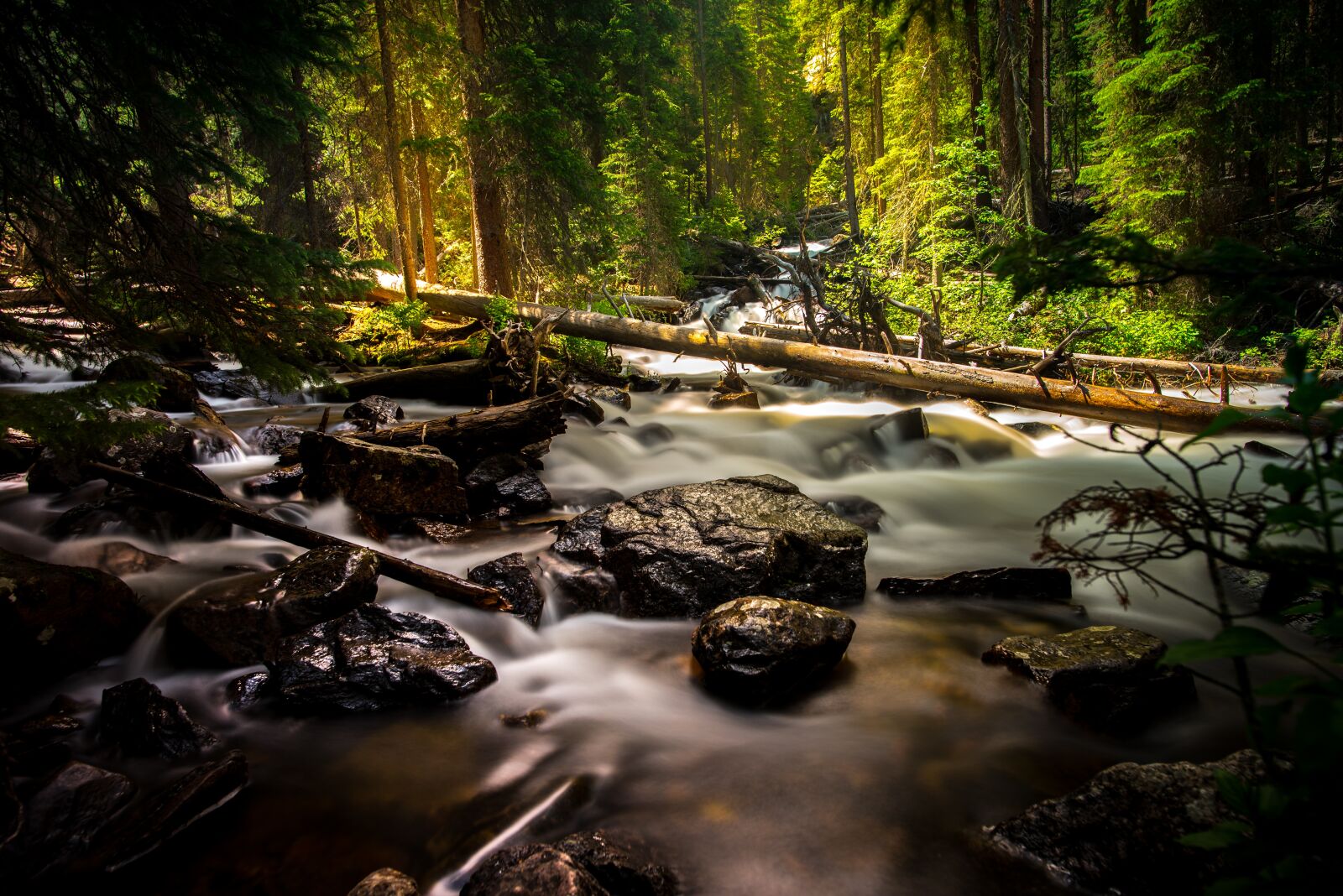 Nikon D750 sample photo. Creek, forest, landscape photography