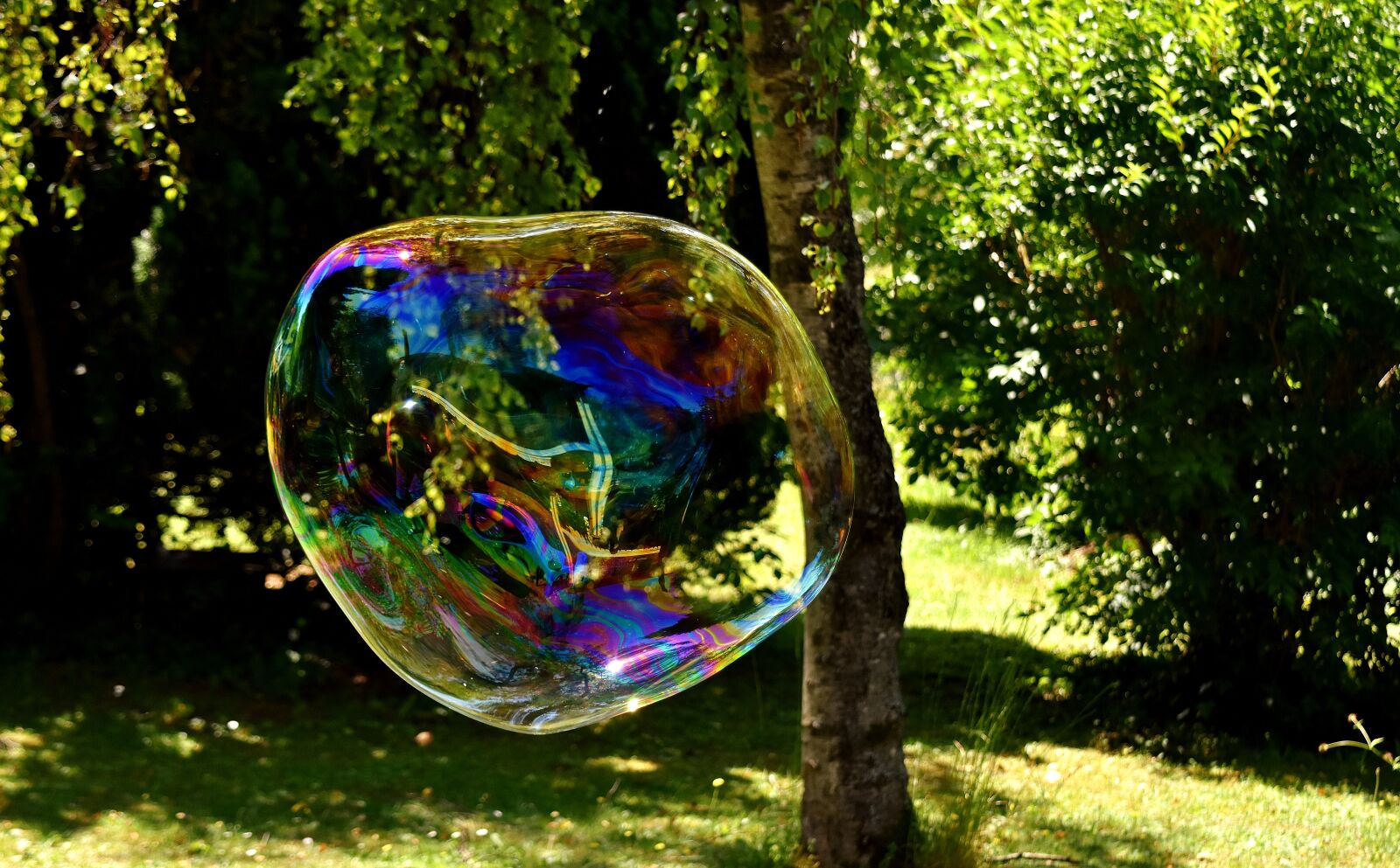 Nikon D7200 sample photo. Soap bubble, huge, large photography
