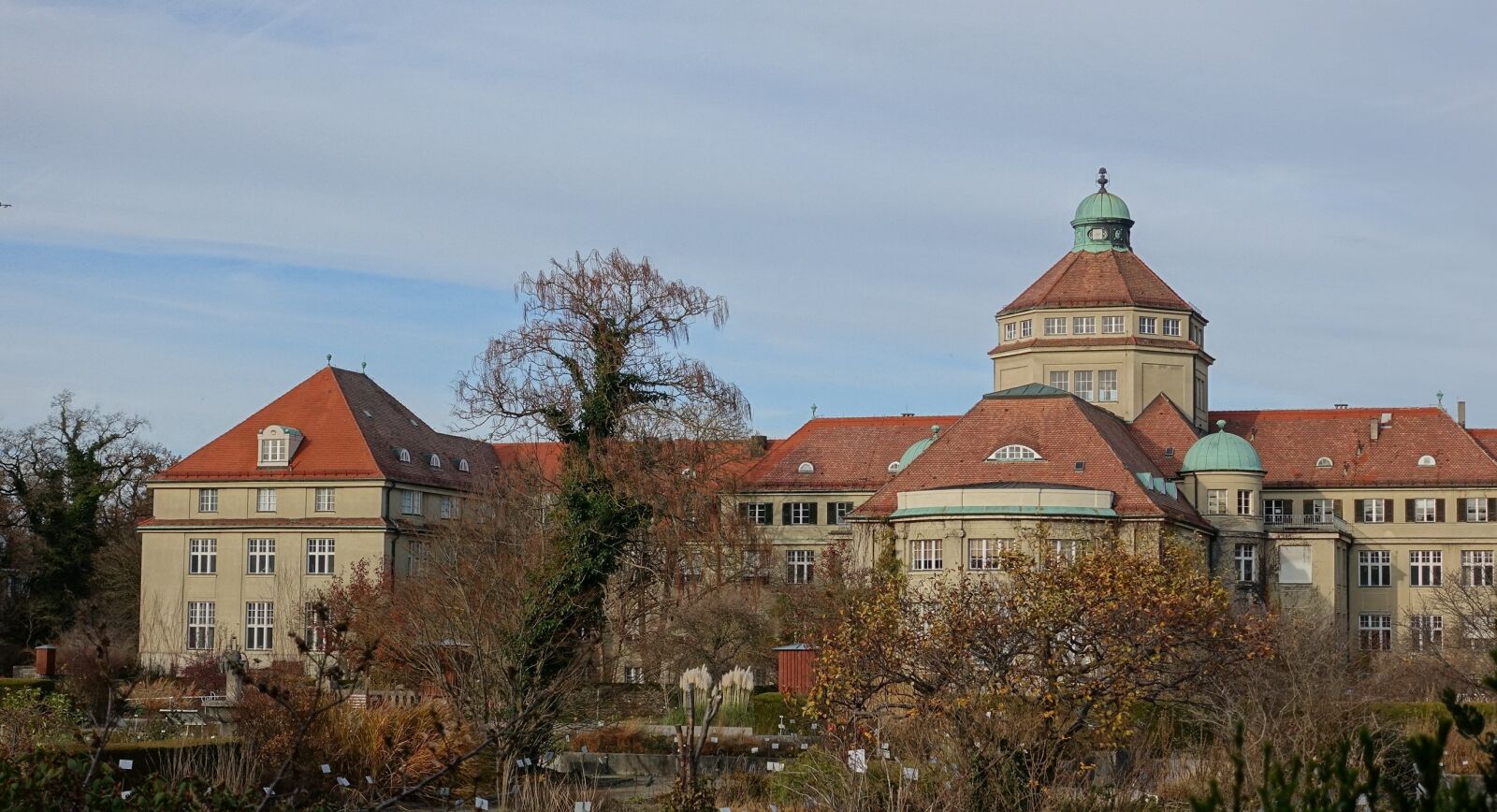 Sony Cyber-shot DSC-RX100 IV sample photo. Munich, botanical garden, autumn photography
