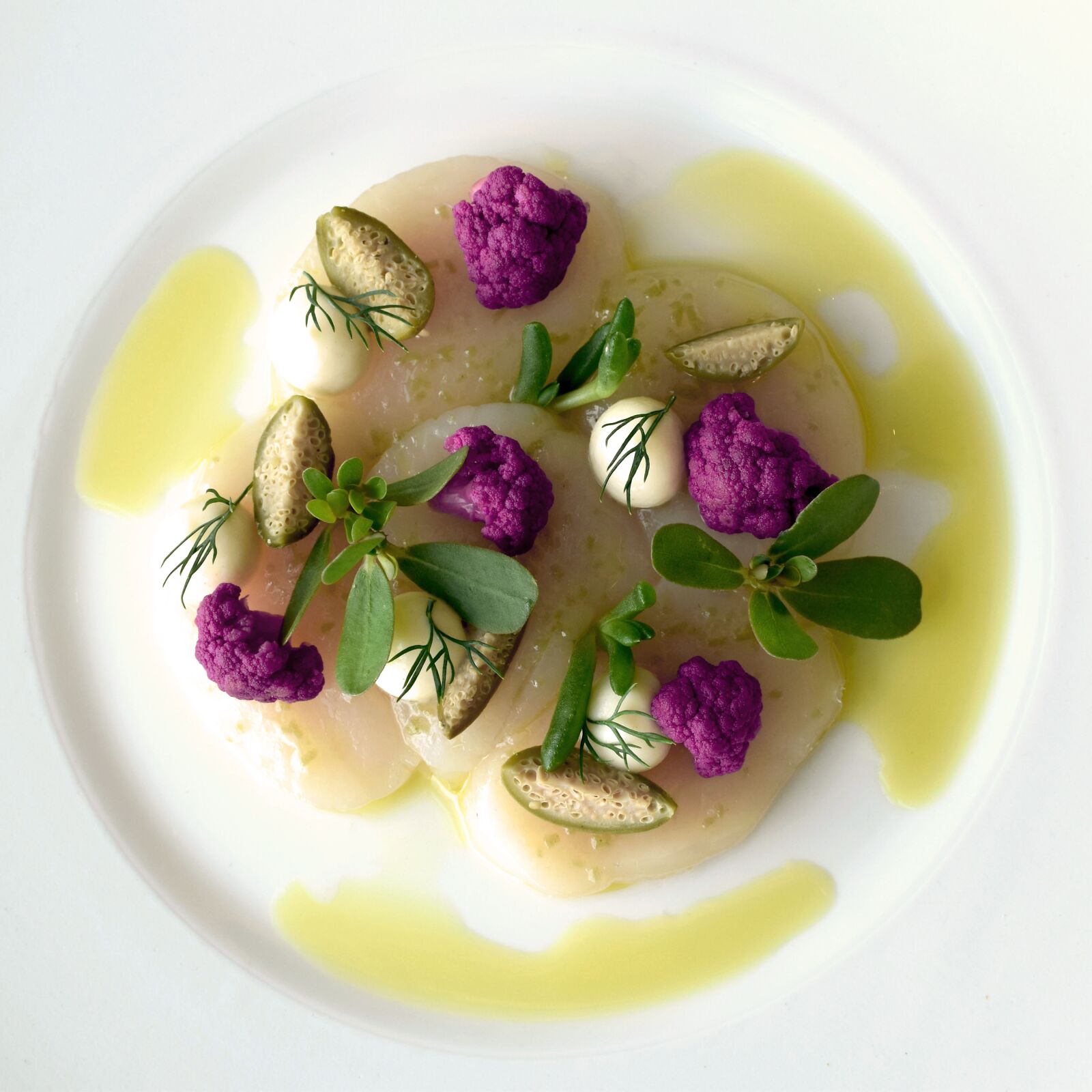 Nikon D5600 sample photo. Scallops, cauliflower, olive oil photography