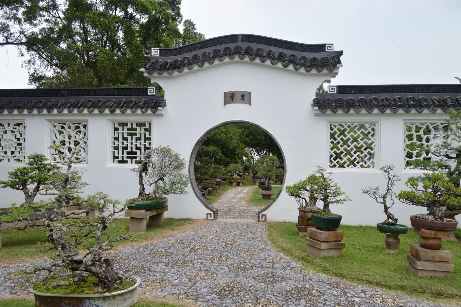 Nikon D3200 sample photo. Courtyard, chinese style, bonsai photography