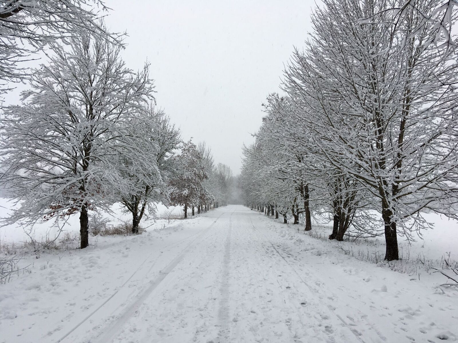 Apple iPhone SE sample photo. Schnee, strasse, winter photography