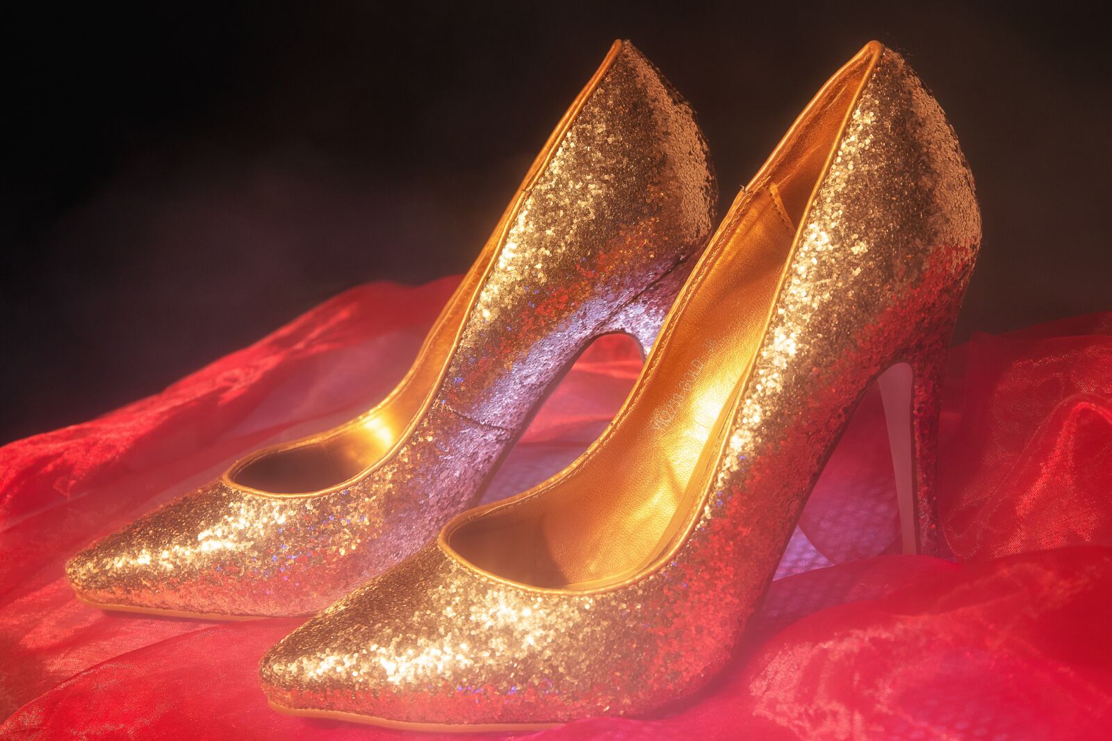 Canon EF 24-70mm F4L IS USM sample photo. Pumps, high heels, shoes photography