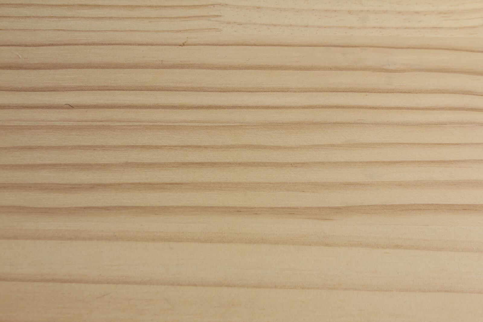 Canon EOS 550D (EOS Rebel T2i / EOS Kiss X4) sample photo. Wood, texture, background photography