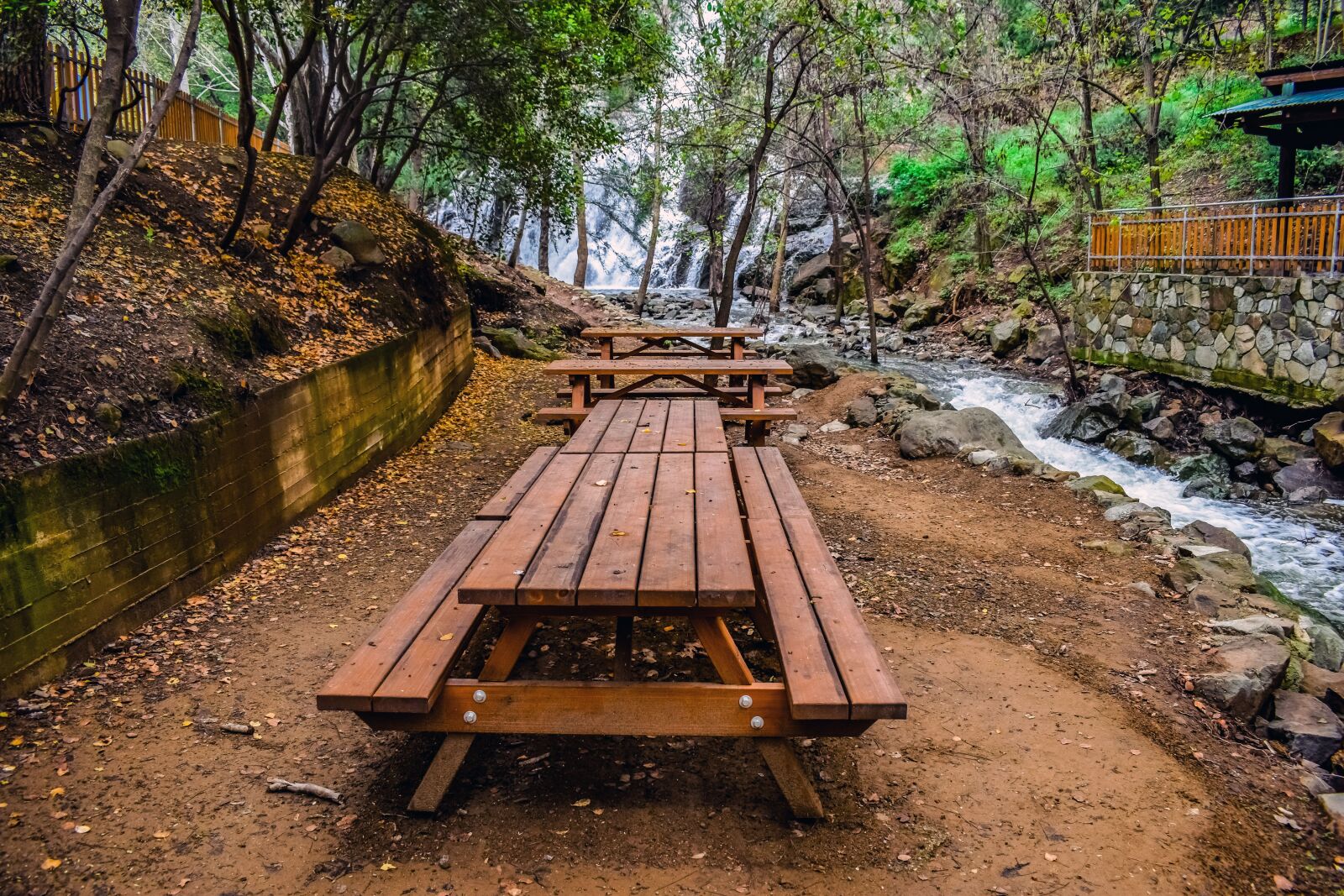 Nikon D3300 sample photo. Picnic site, nature, forest photography