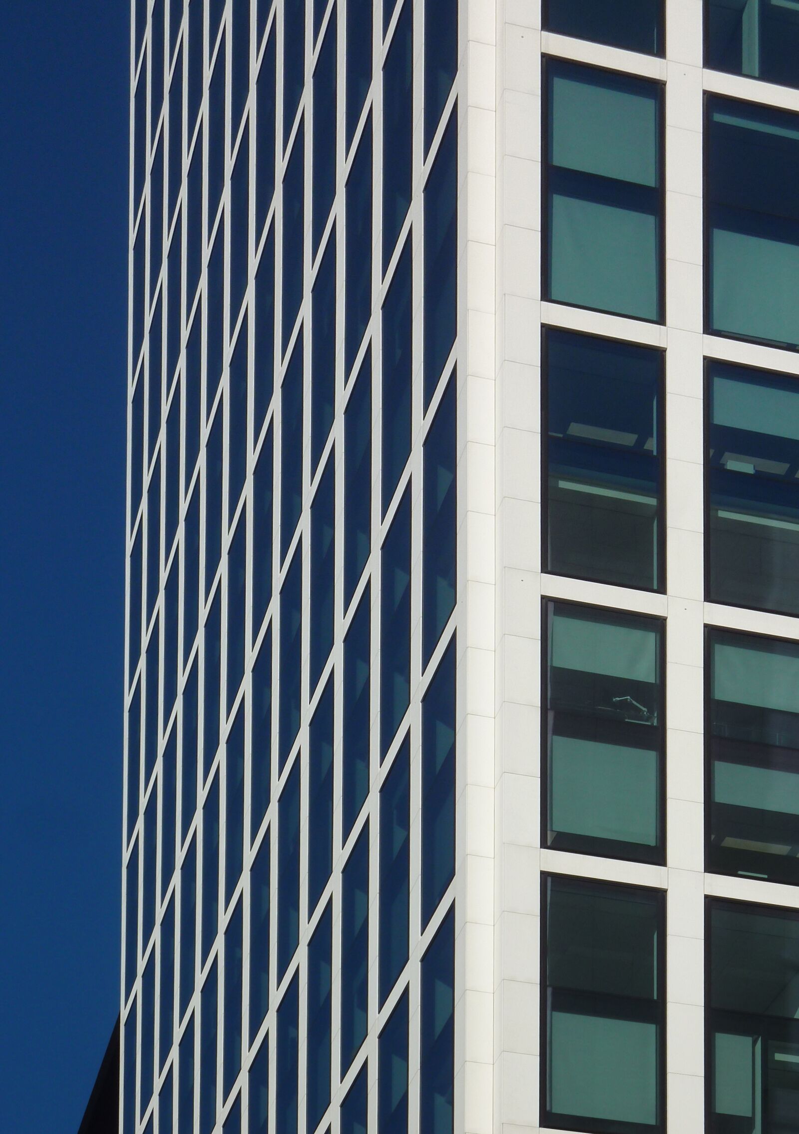 Panasonic DMC-TZ7 sample photo. Glass, window, architecture photography
