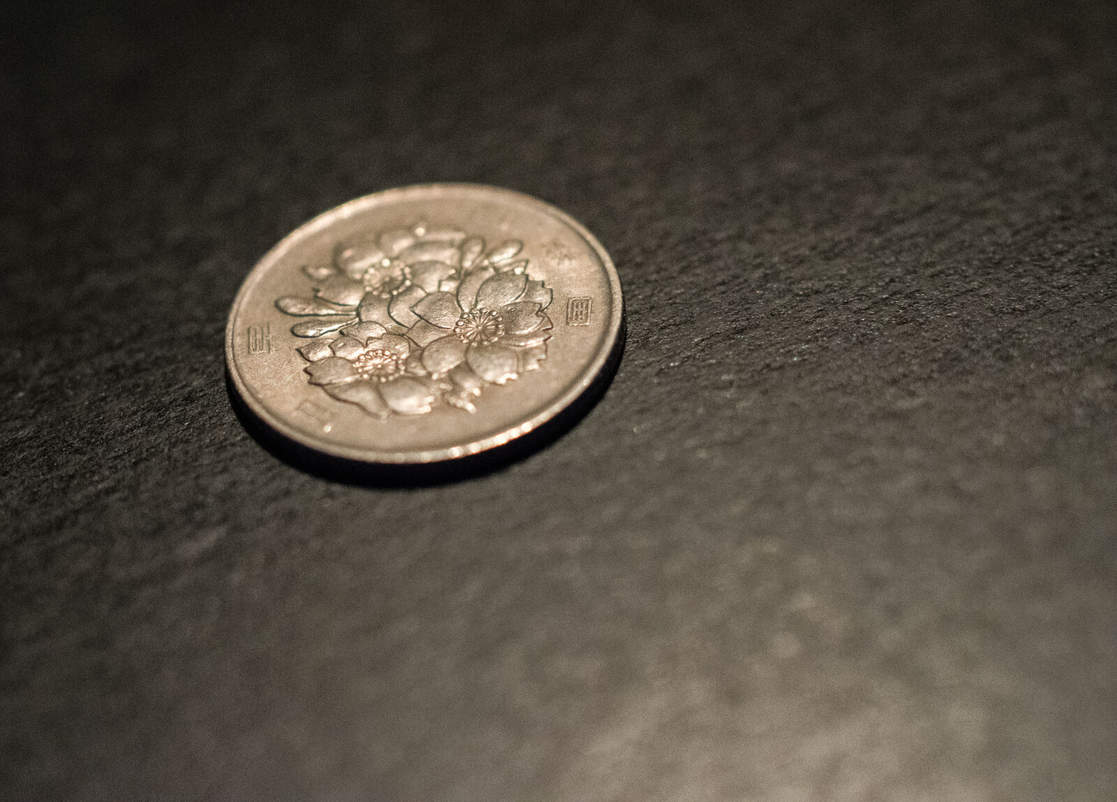 Nikon AF-S DX Nikkor 35mm F1.8G sample photo. Coin, engraving, flower, silver photography