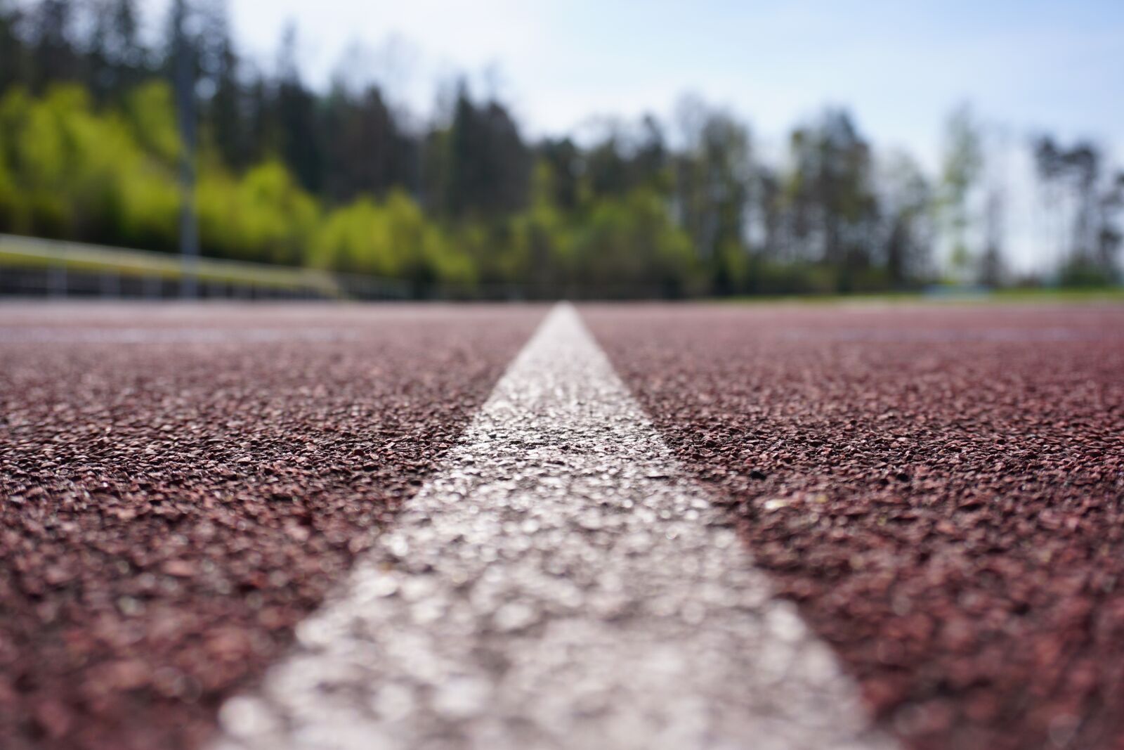 Sony a6000 sample photo. Sports ground, athletics, competition photography