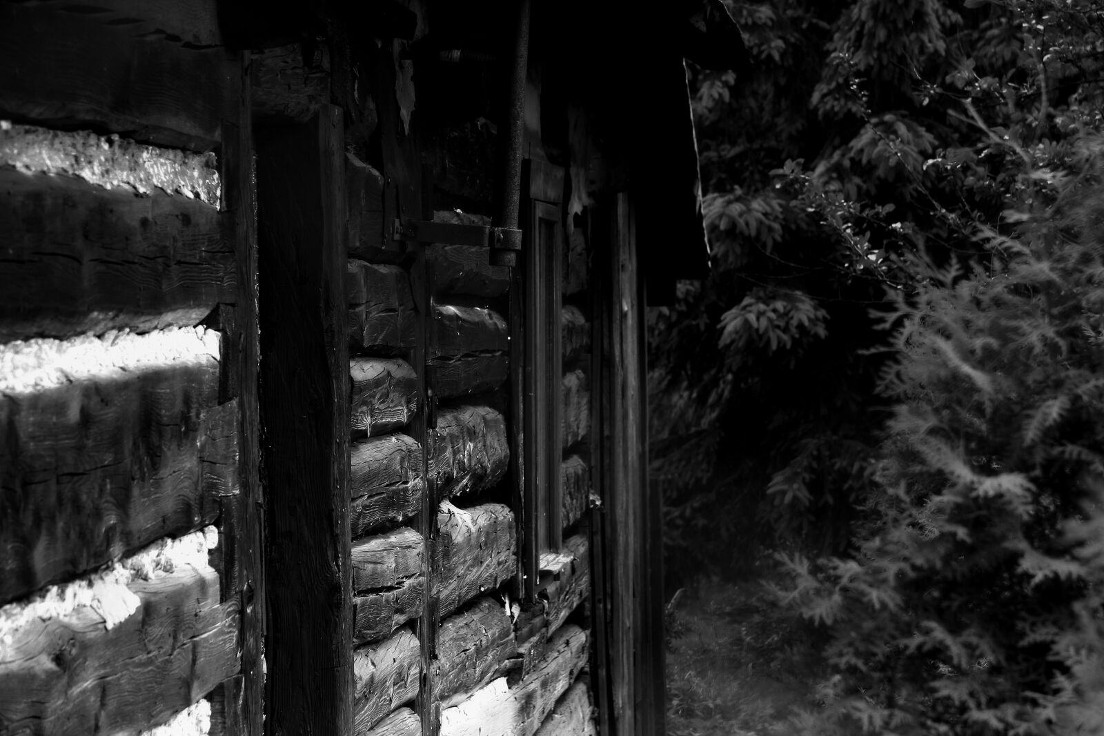 Canon EOS 50D sample photo. Black and white, house photography