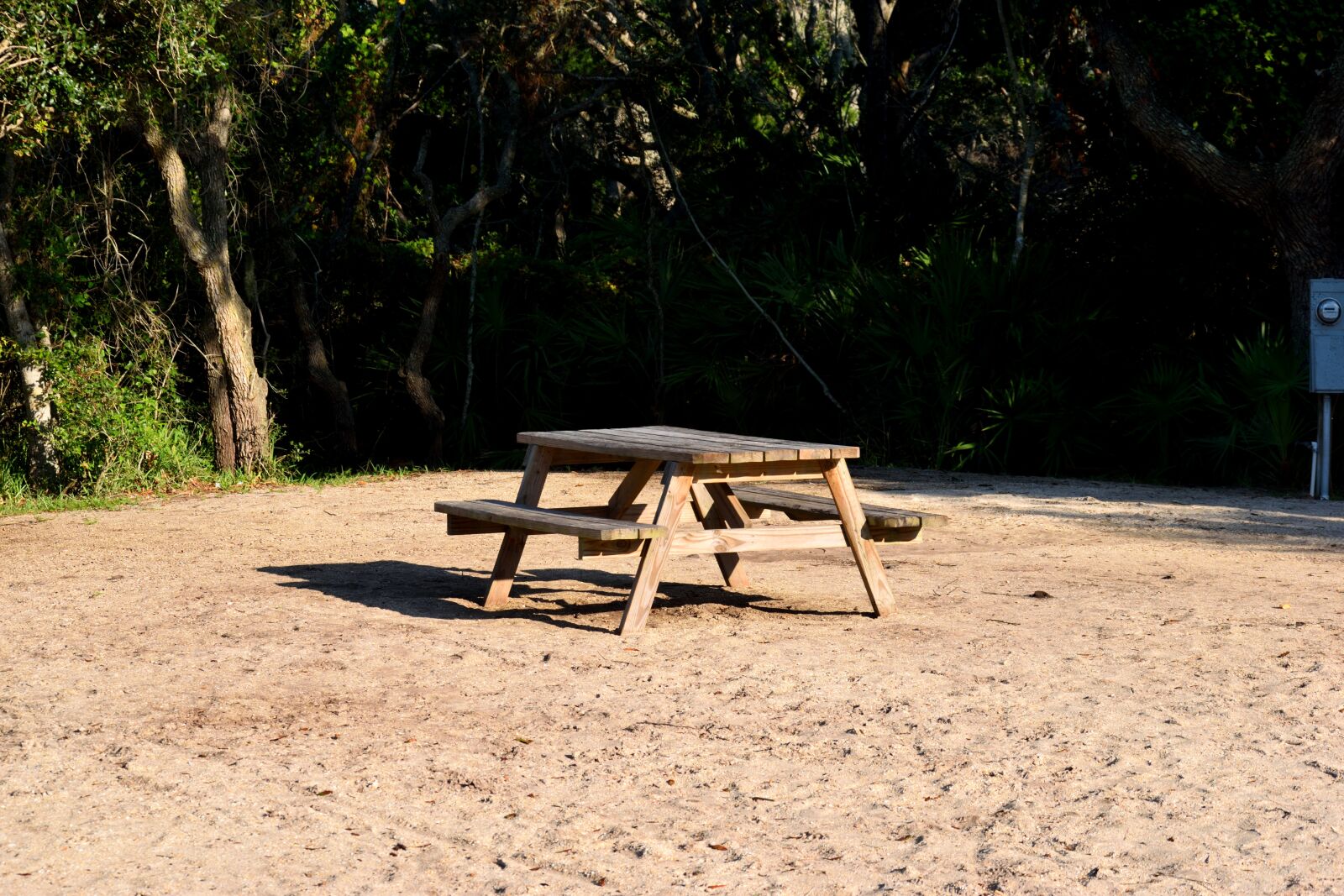 Nikon D3300 sample photo. Empty, picnic table, nobody photography