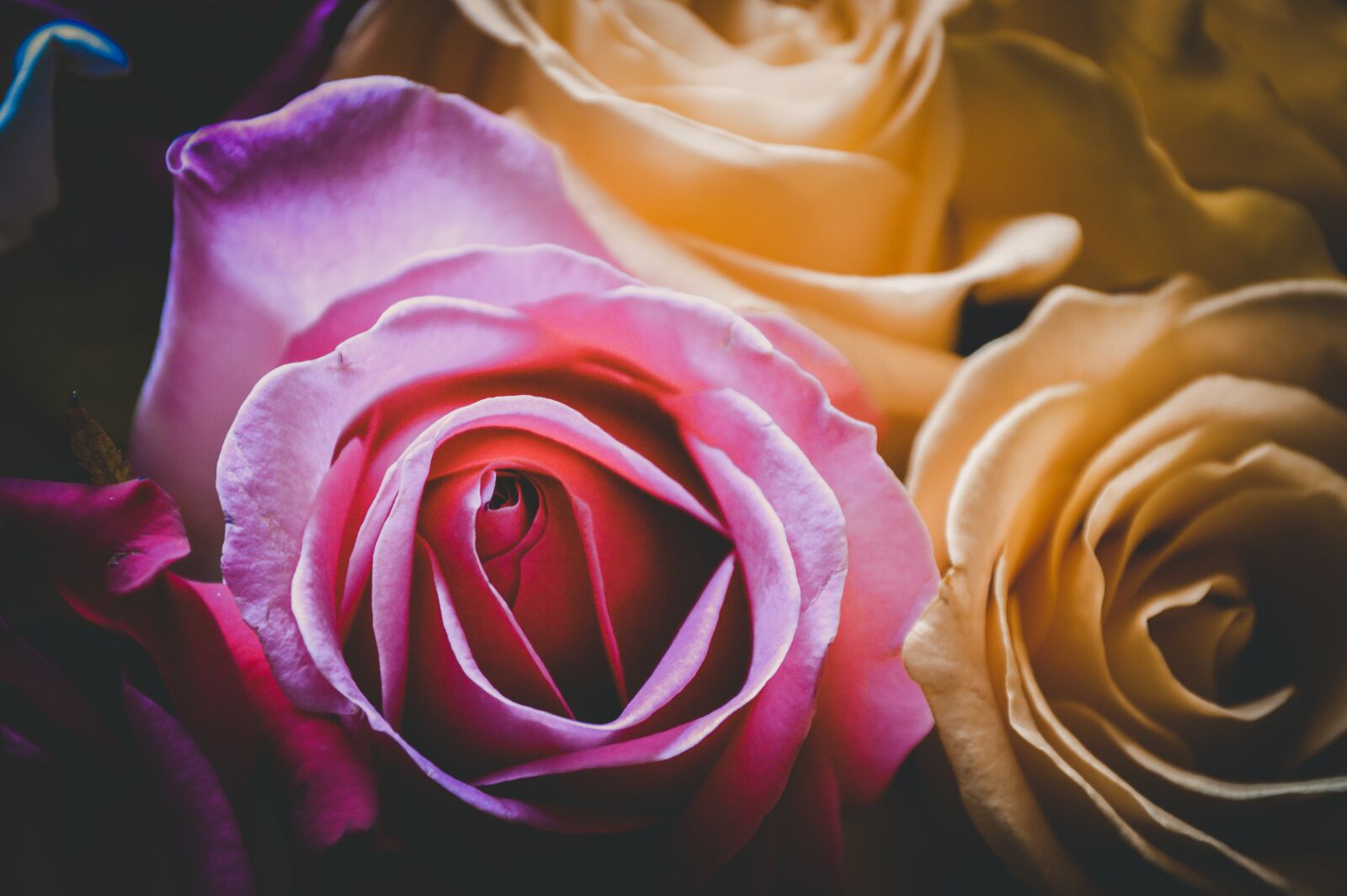 Nikon D3200 sample photo. International women's day, march photography