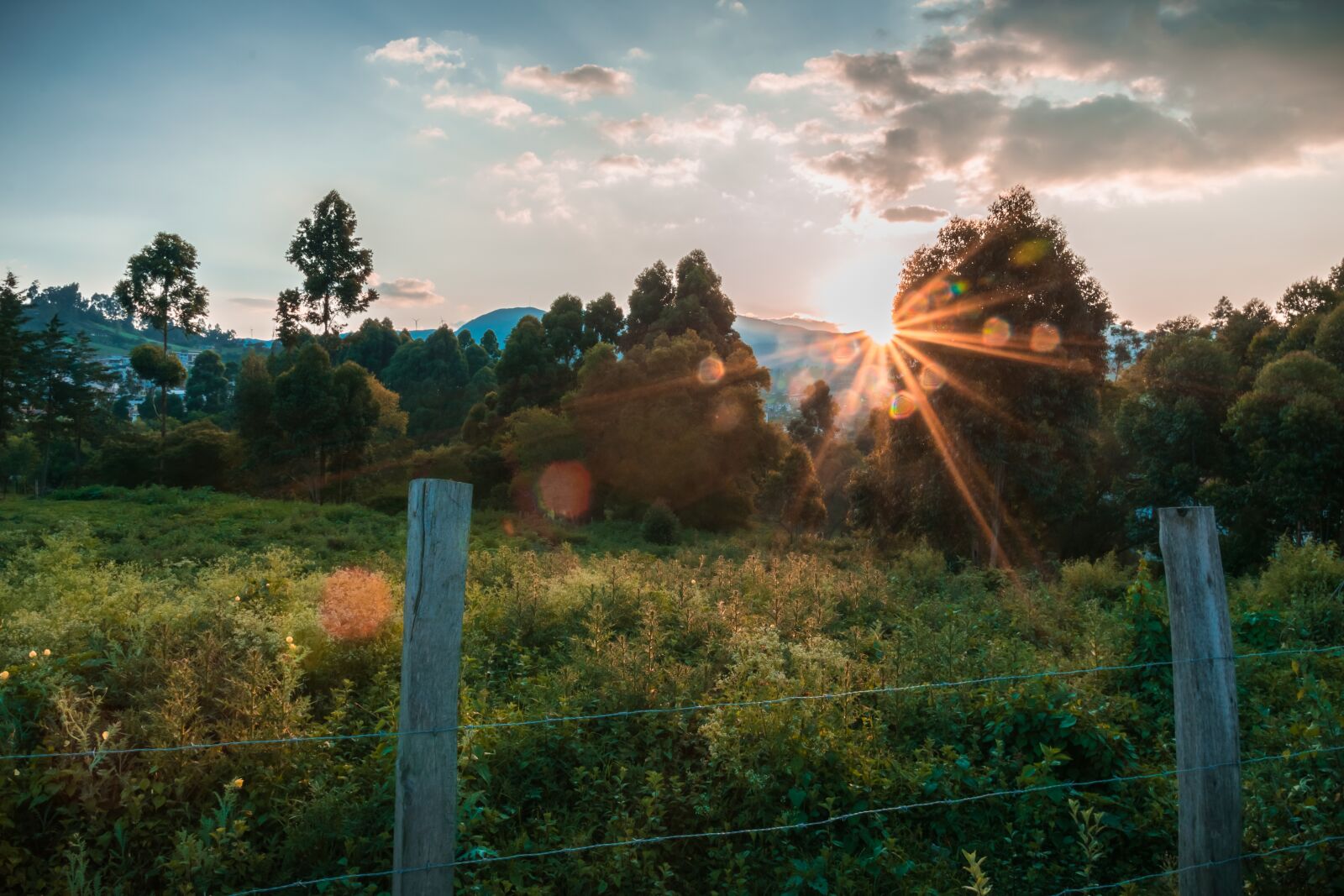 Nikon D5300 sample photo. Road, mountains, landscape photography