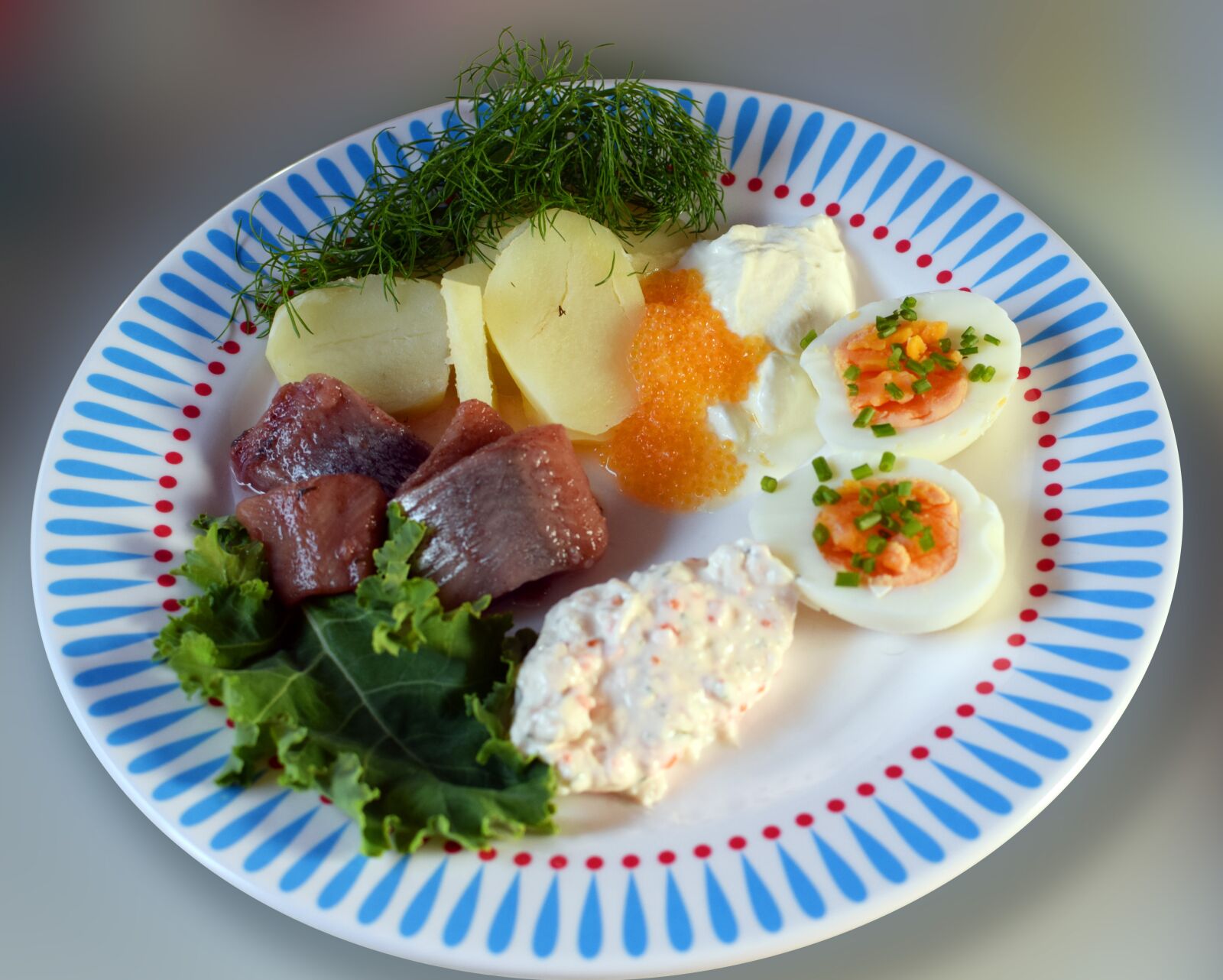 Nikon D5300 sample photo. Midsummer, silltallrik, herring photography