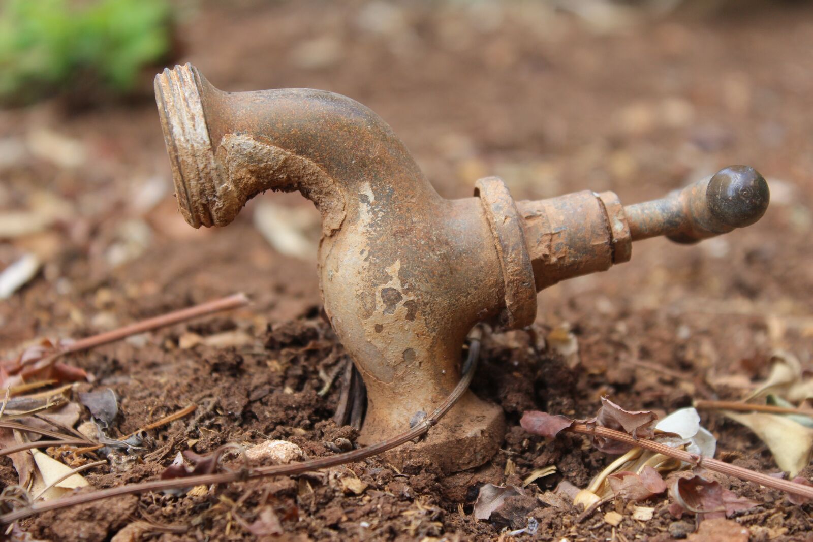 Canon EOS 600D (Rebel EOS T3i / EOS Kiss X5) sample photo. Nature, tap, faucet photography