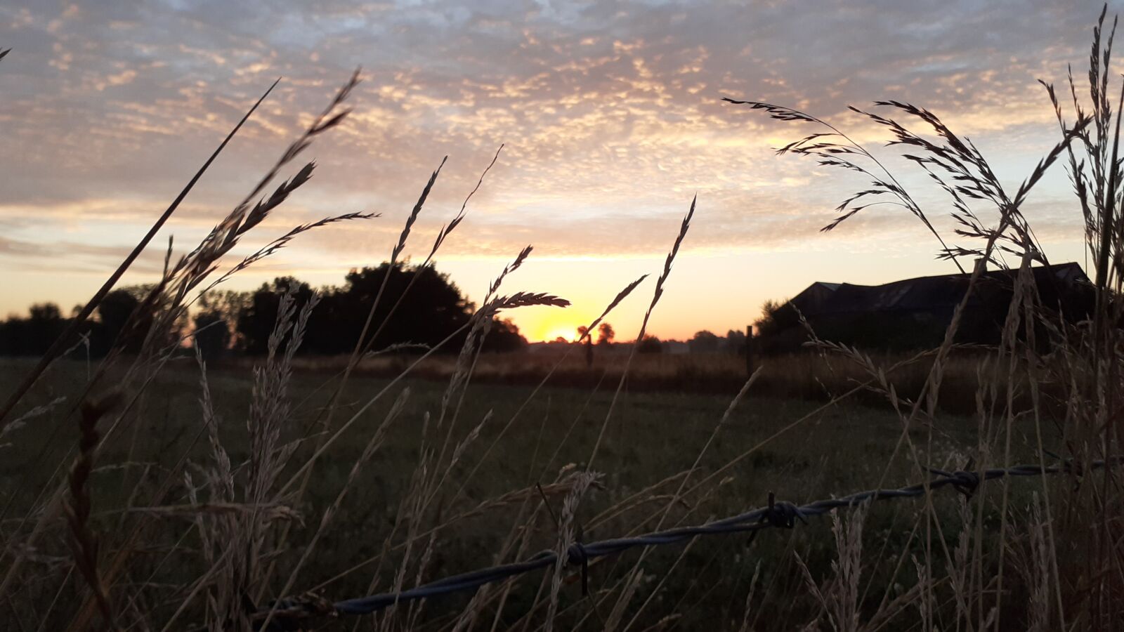Samsung SM-A202F sample photo. Village, east, nature photography