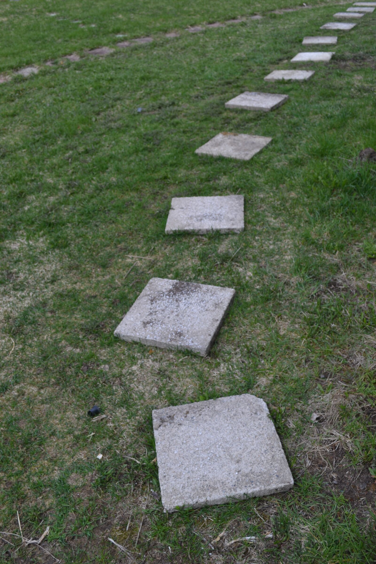 Nikon D3100 sample photo. Step, perspective, dissonance photography