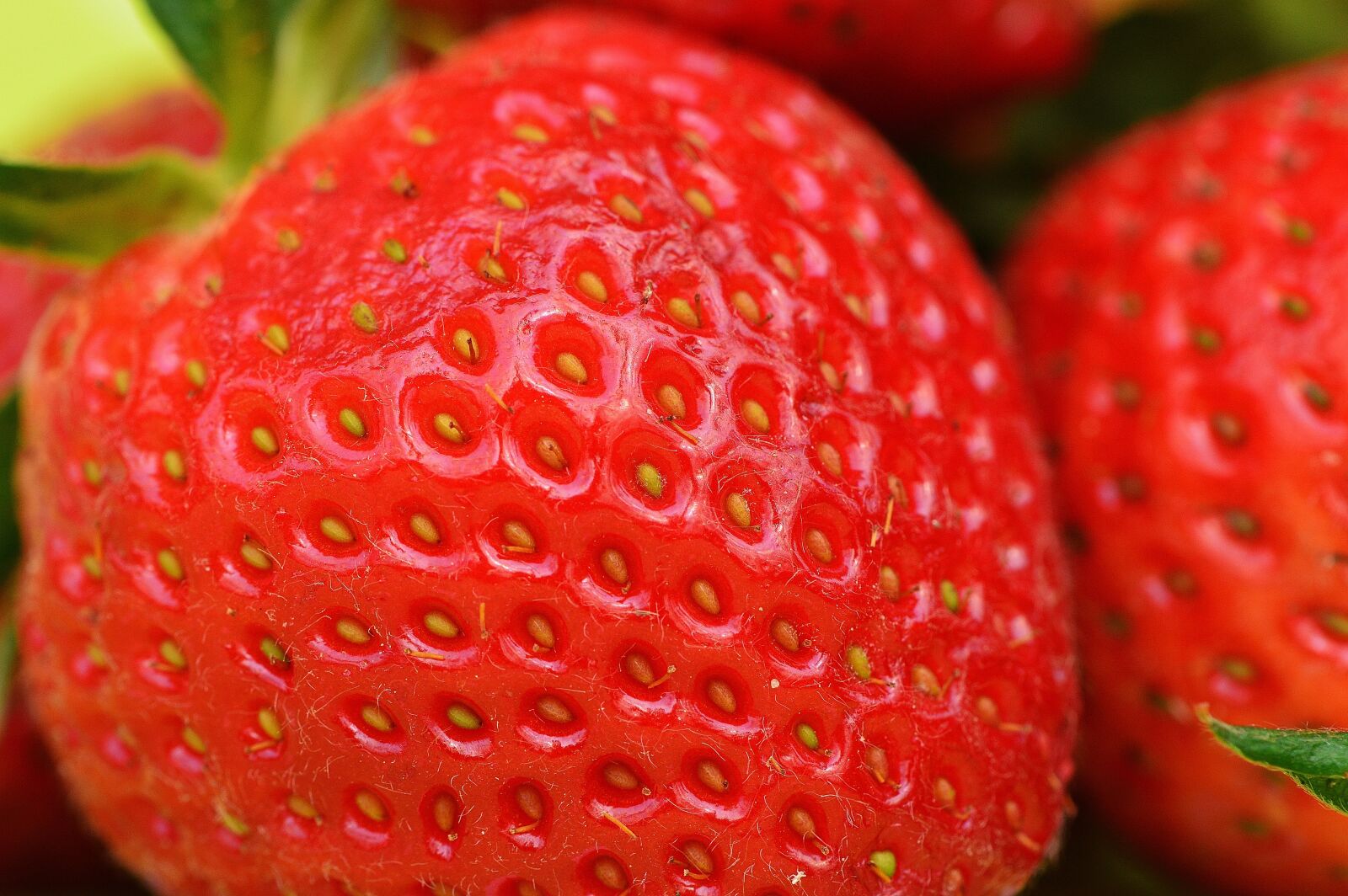 Nikon D3200 sample photo. Strawberries, fruit, close up photography