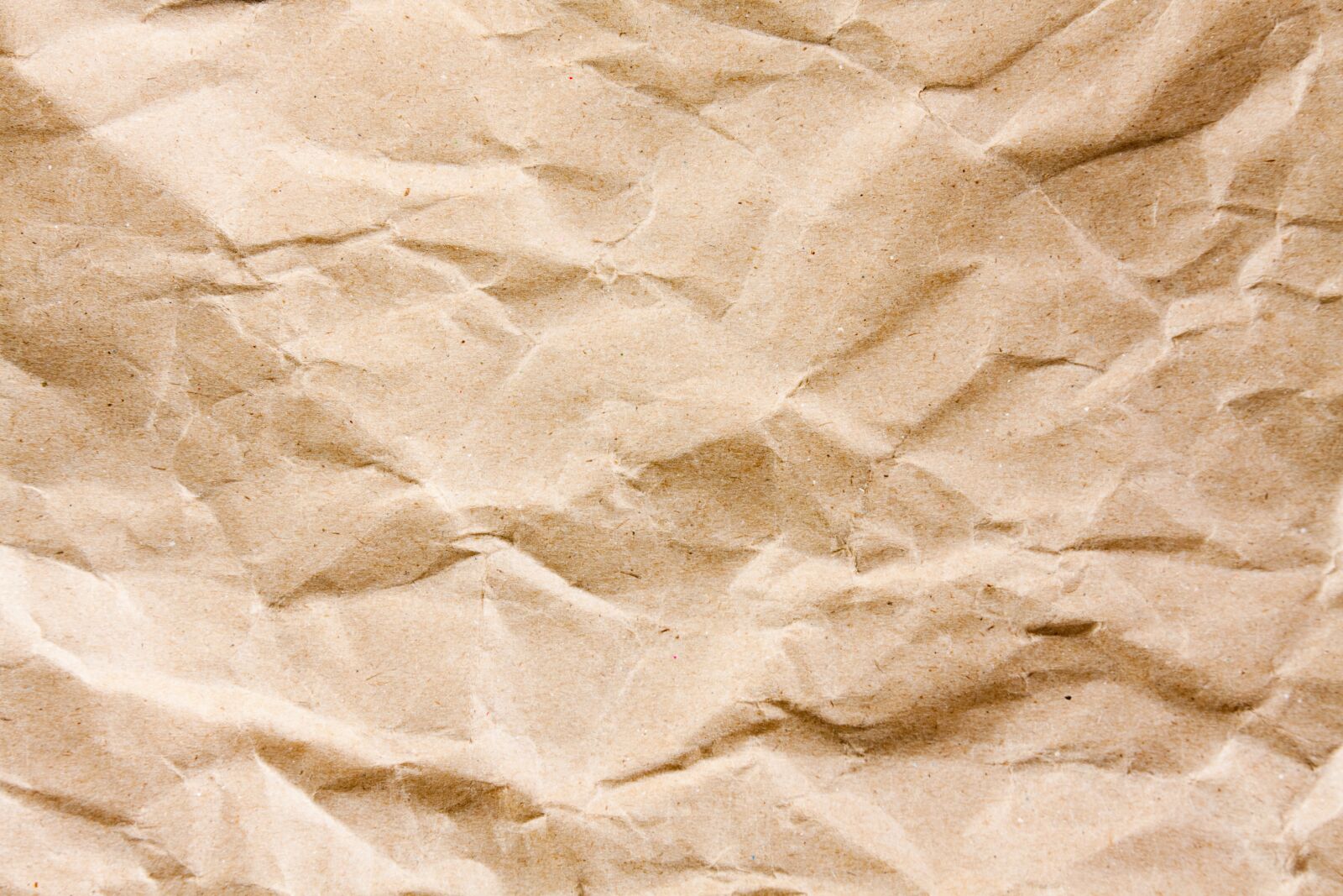 Canon EOS 50D sample photo. Paper, recycle, brown photography