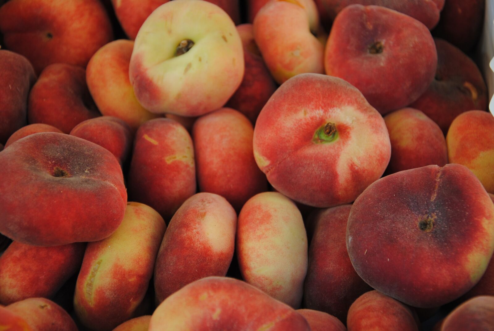 Nikon D3000 sample photo. Peach, peaches, fruit photography
