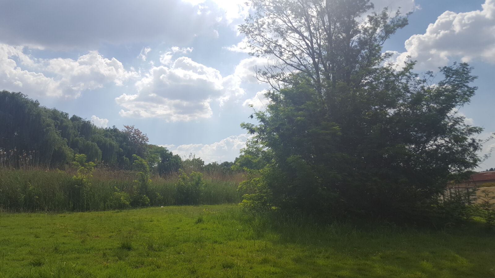 Samsung GALAXY S6 edge sample photo. Blue, sky, clouds, grass photography