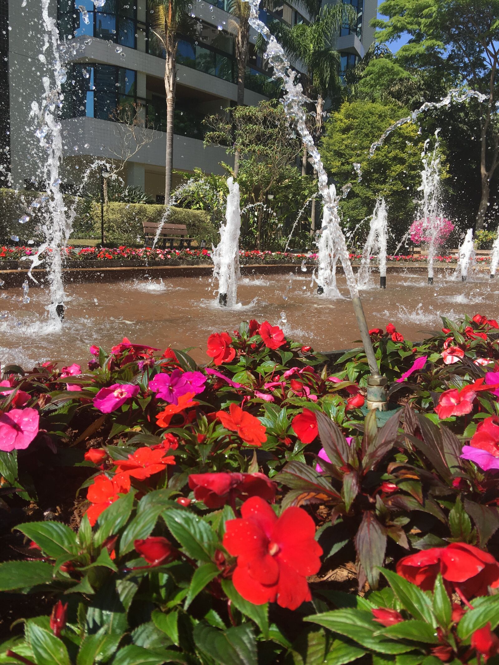Apple iPhone 6s Plus sample photo. Fountain, flower, landscape photography