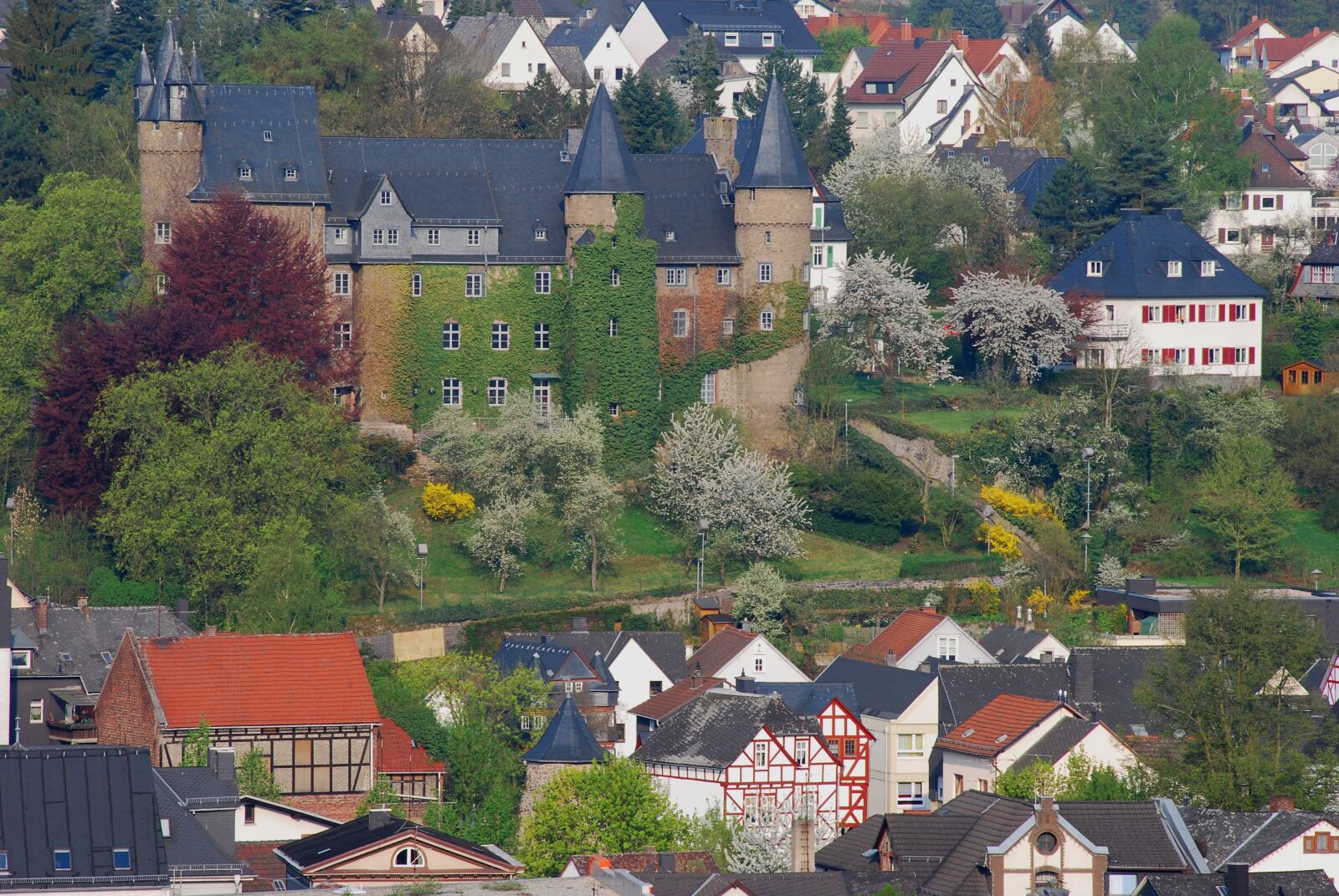 Nikon D60 sample photo. Castle, middle ages, herborn photography