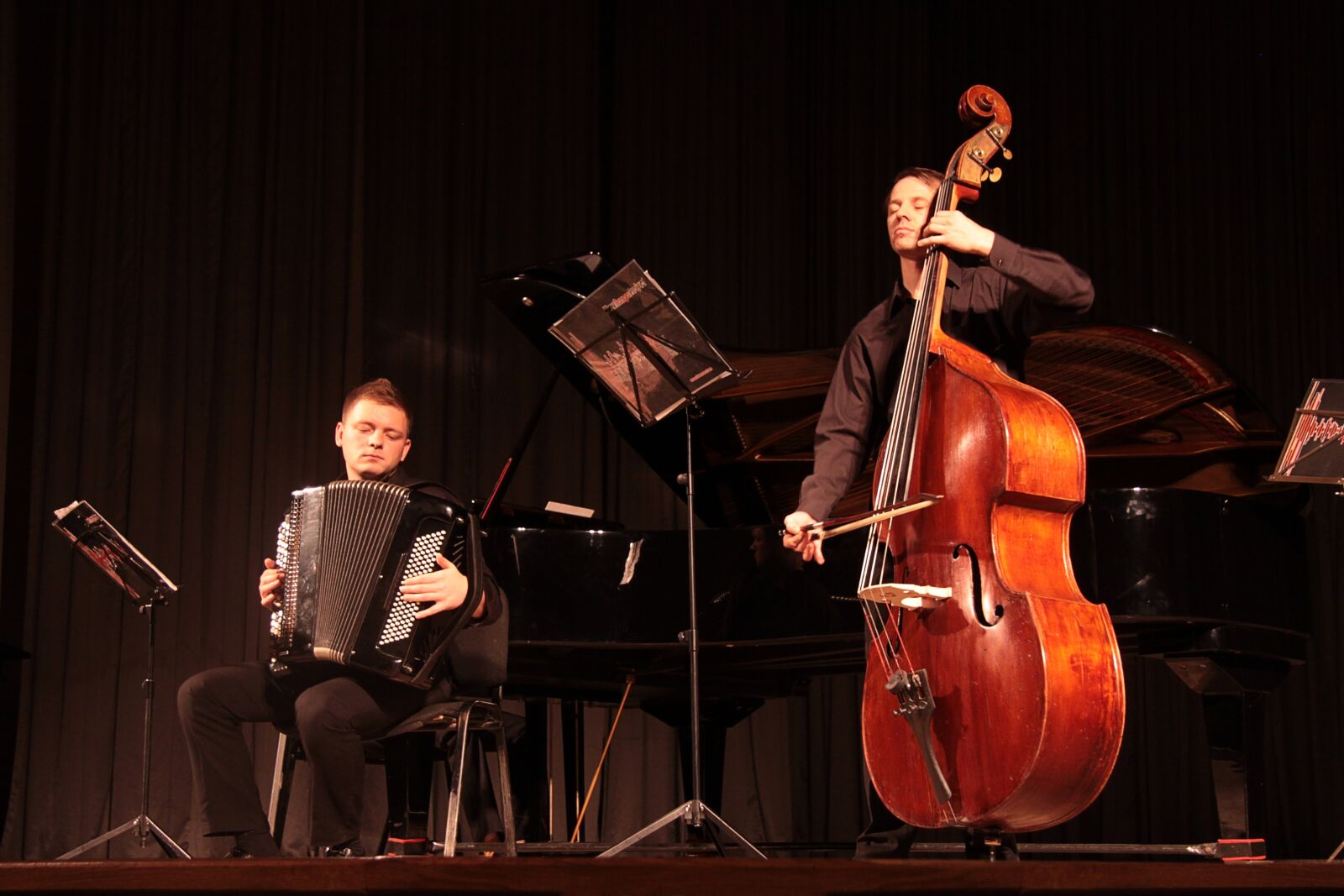 Canon EOS 50D sample photo. Concert, bayan, music photography