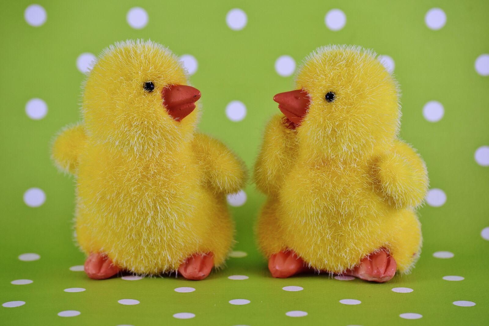 Nikon D7200 sample photo. Chicks, easter, cute photography
