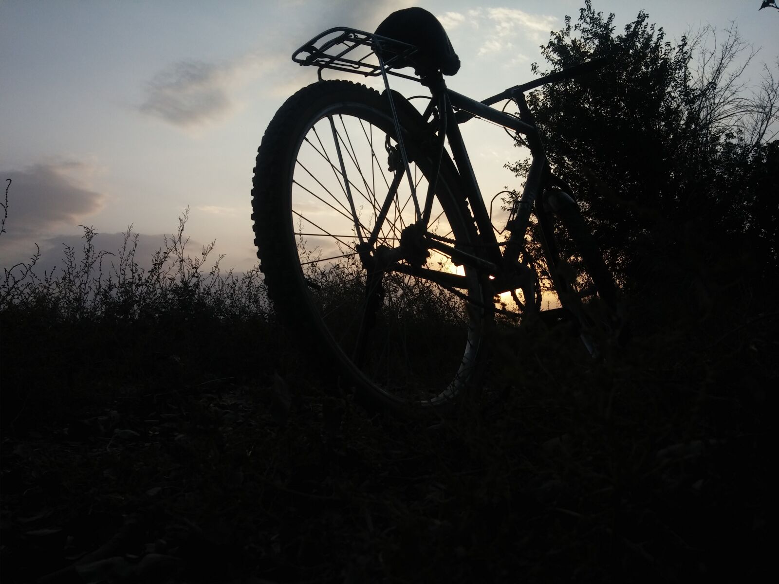 LG G2 sample photo. Bike, farm, sunset, tree photography