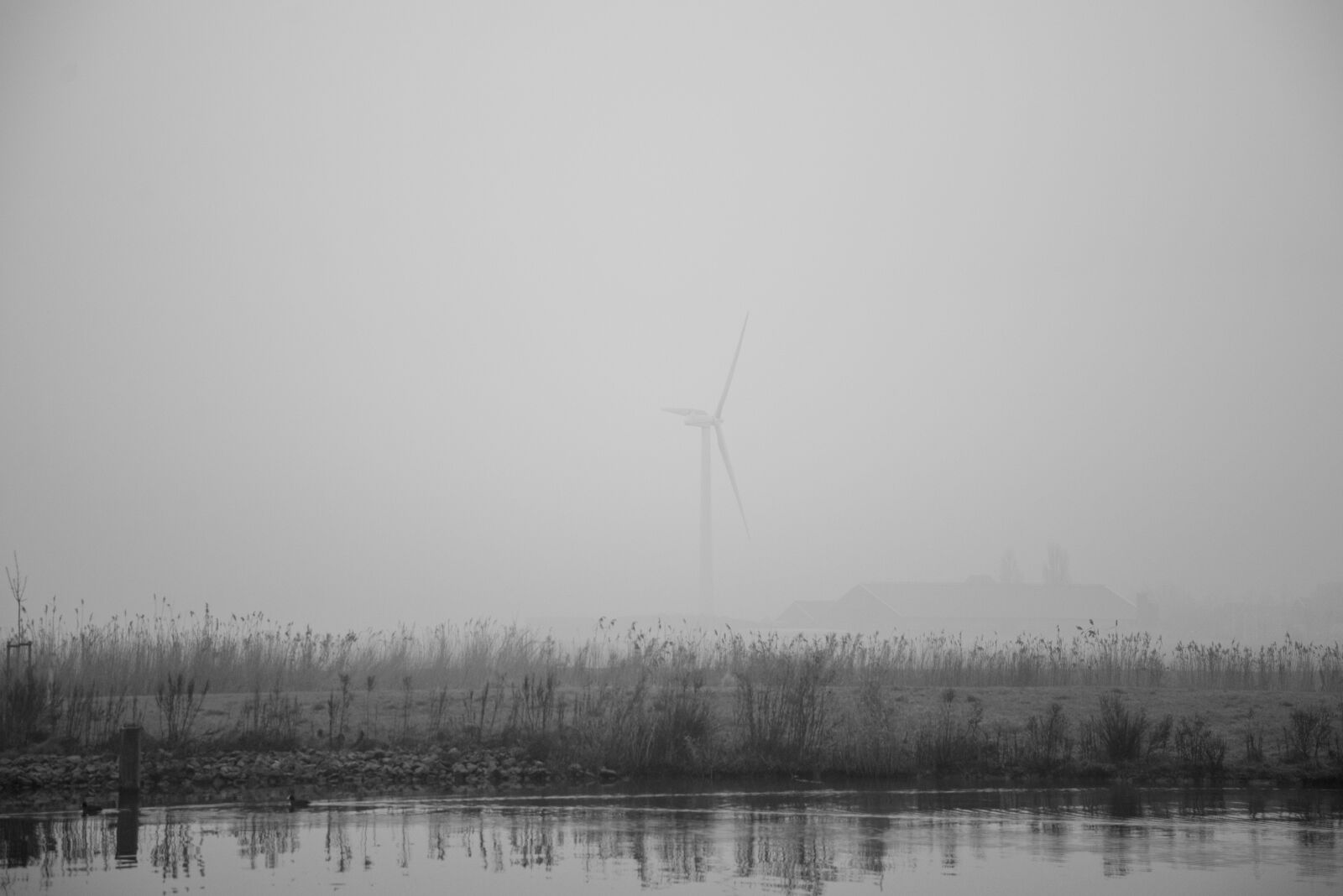 Nikon D600 sample photo. Mill, fog, dutch photography
