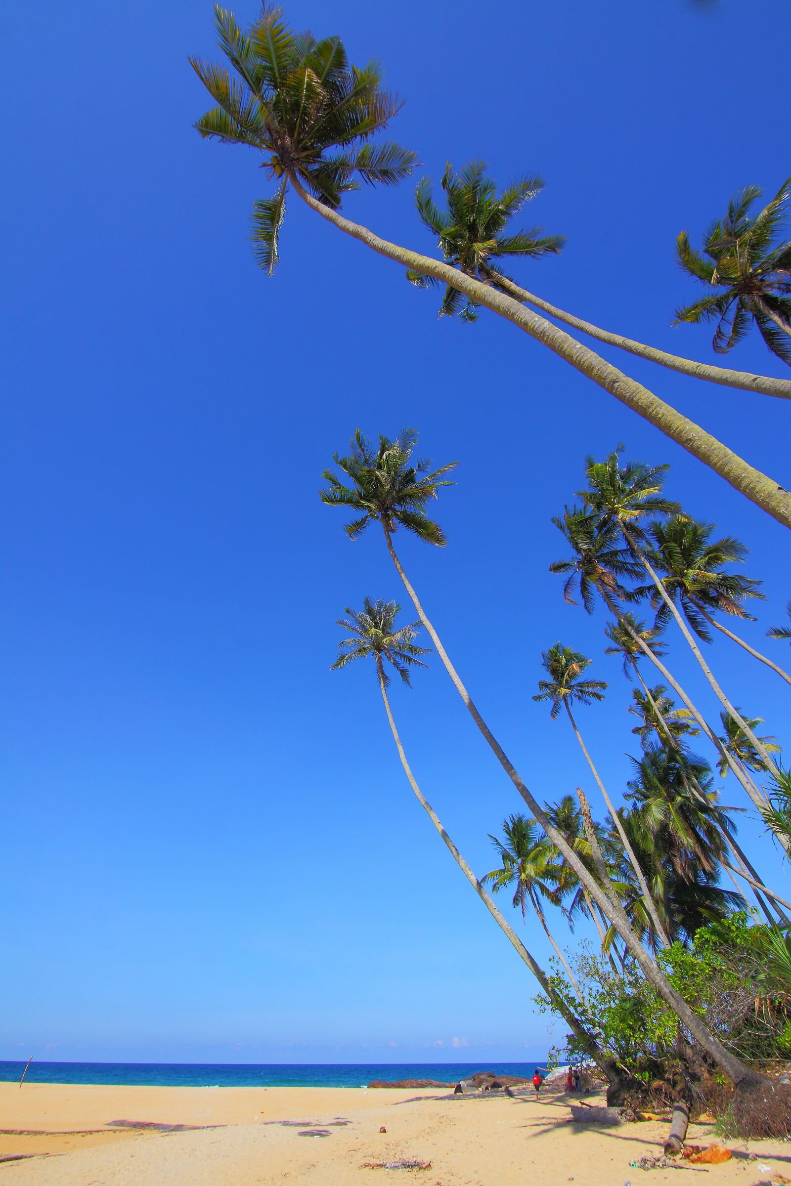 Canon EOS 50D sample photo. Beach, daylight, idyllic, island photography