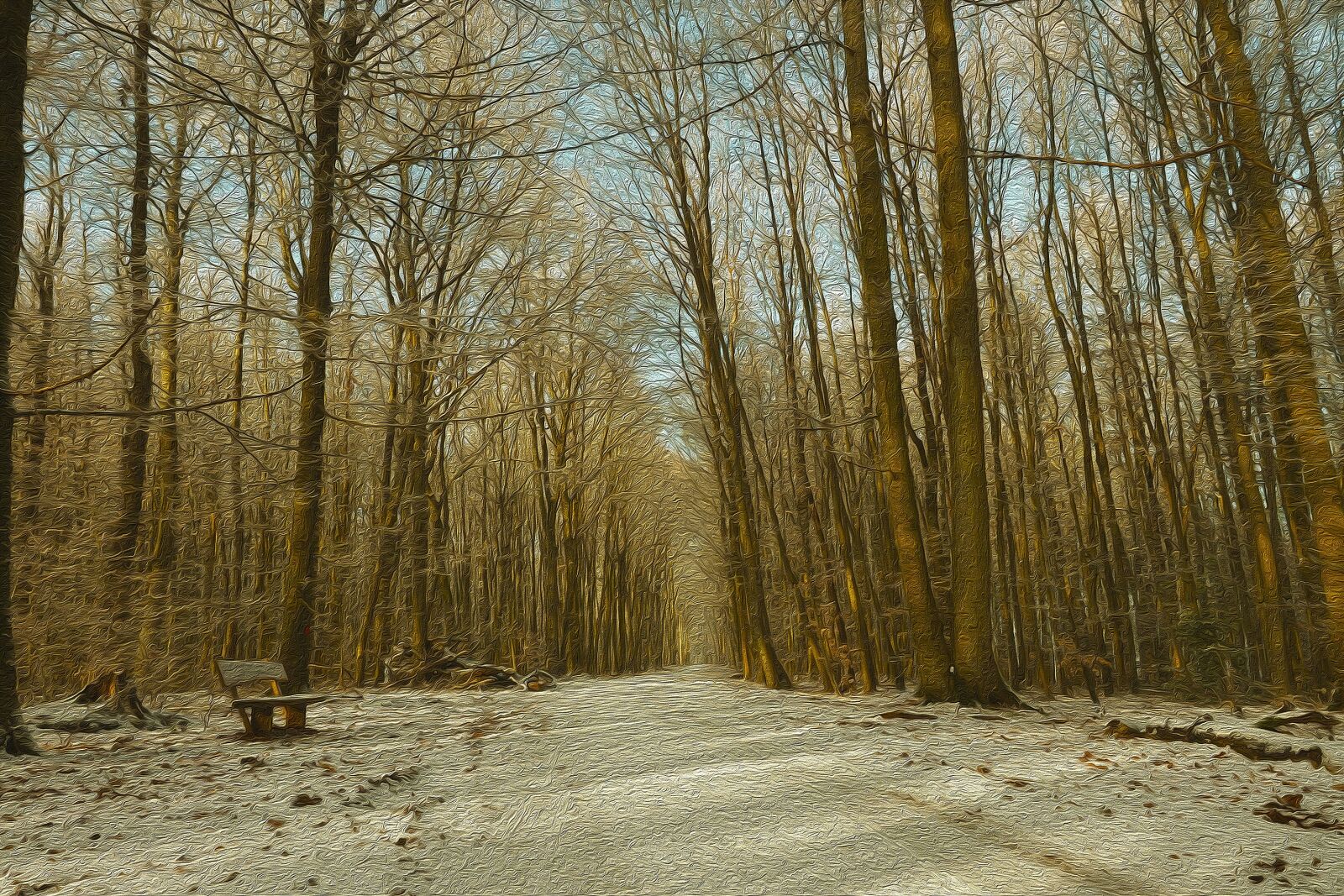 Olympus OM-D E-M1 + Olympus M.Zuiko Digital ED 12-40mm F2.8 Pro sample photo. Forest, winters, nature photography