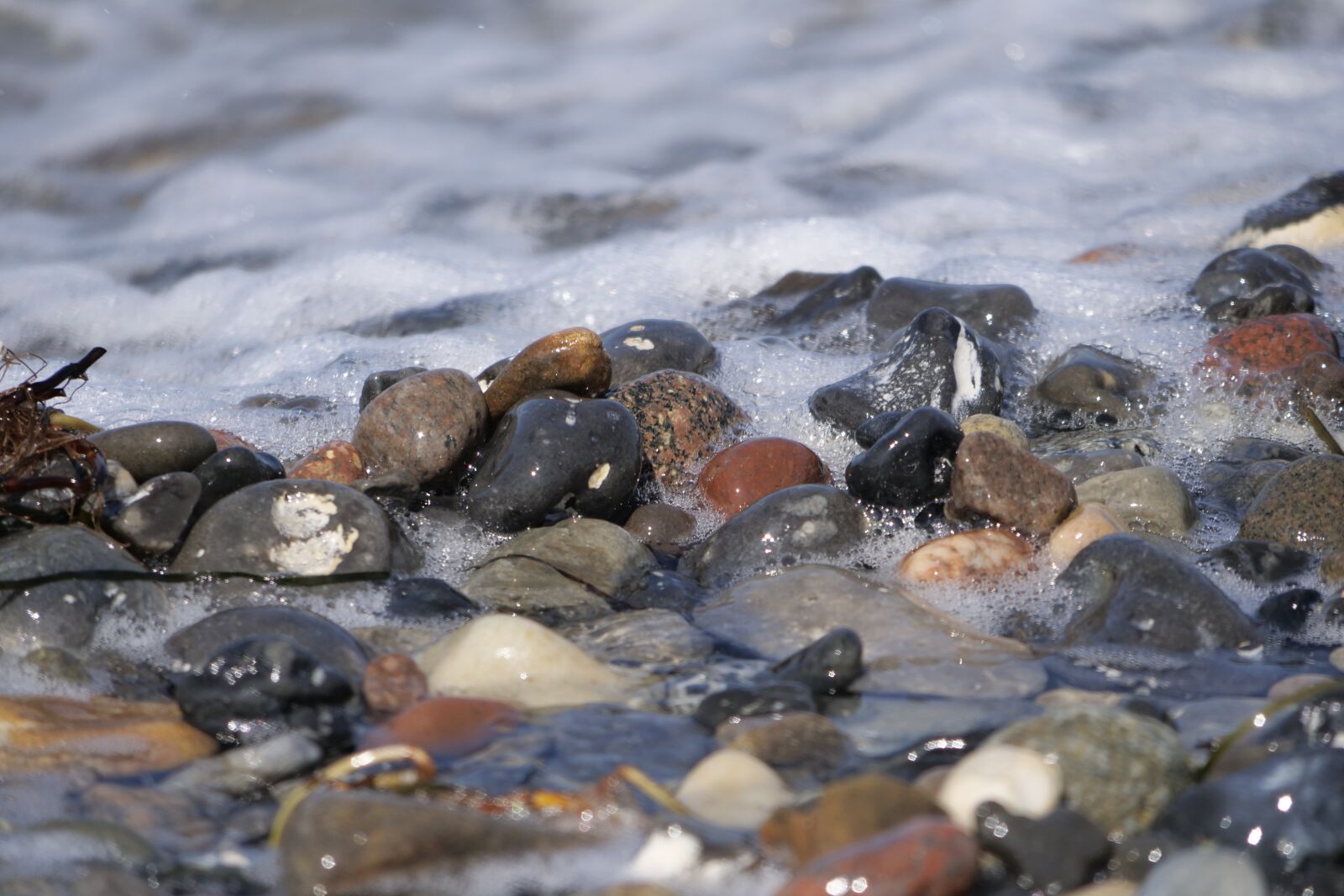 Panasonic Lumix DC-G9 sample photo. Waters, baltic sea, pebble photography