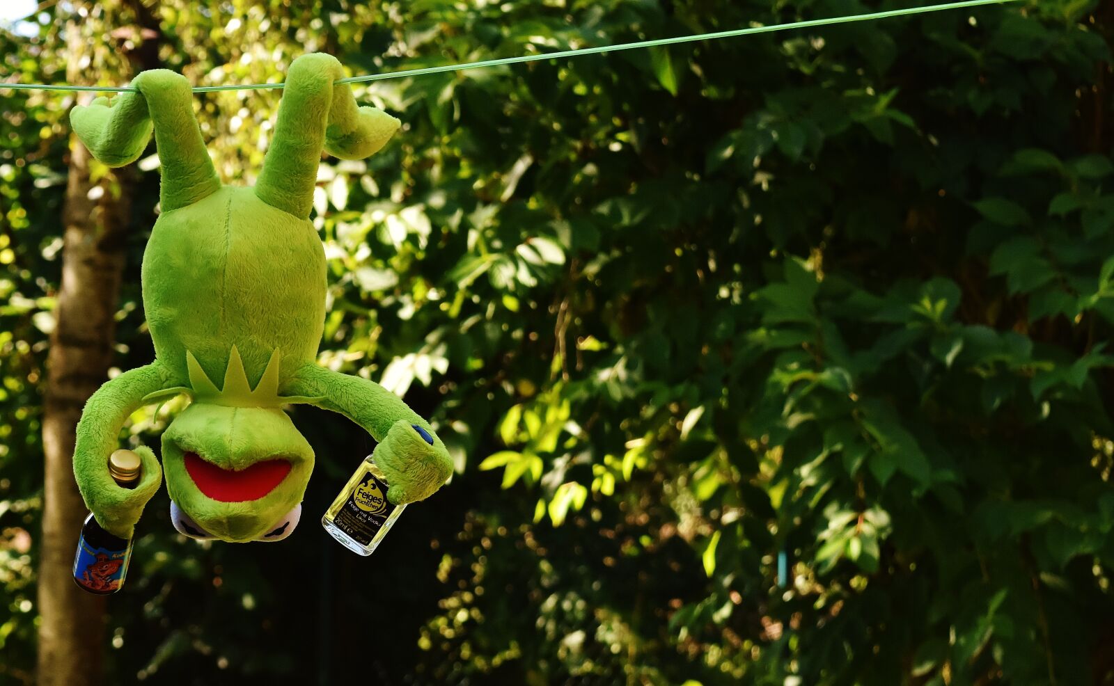 Nikon D7200 sample photo. Kermit, frog, drink photography