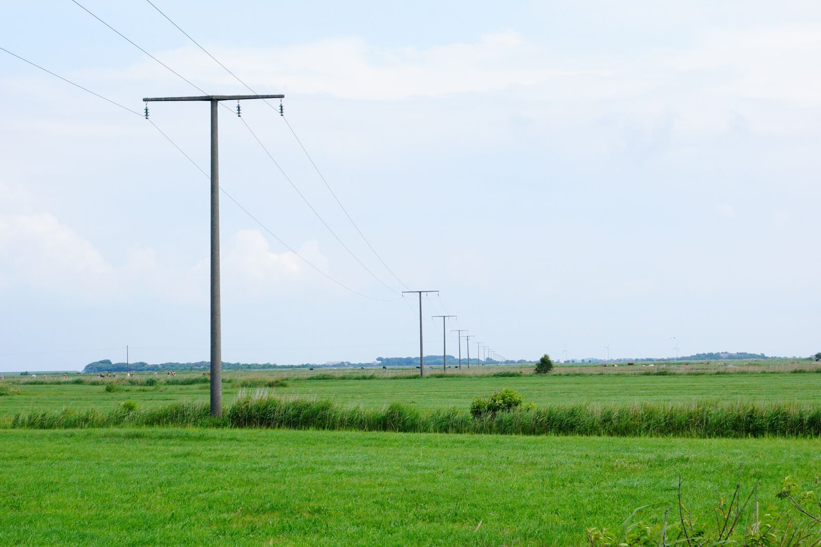 Sony SLT-A77 + Sony DT 16-50mm F2.8 SSM sample photo. Meadow, green, horizon photography