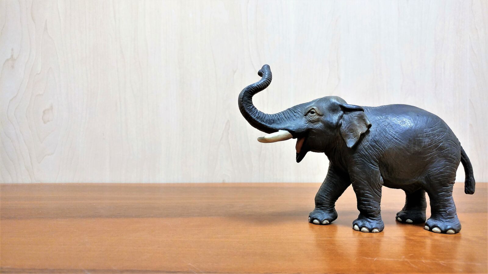 LG G5 sample photo. Elephant, wallpaper, plastic photography