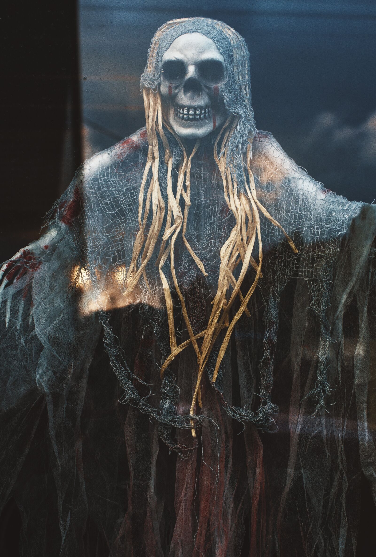 Canon EF 50mm F1.2L USM sample photo. Halloween, skeleton, the witch photography