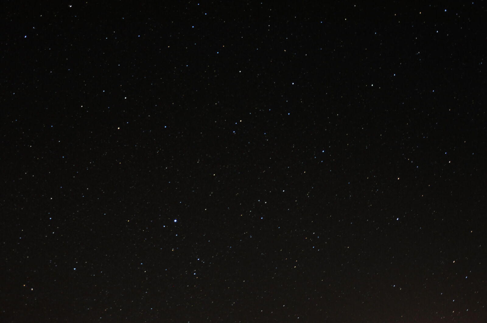 Nikon D90 sample photo