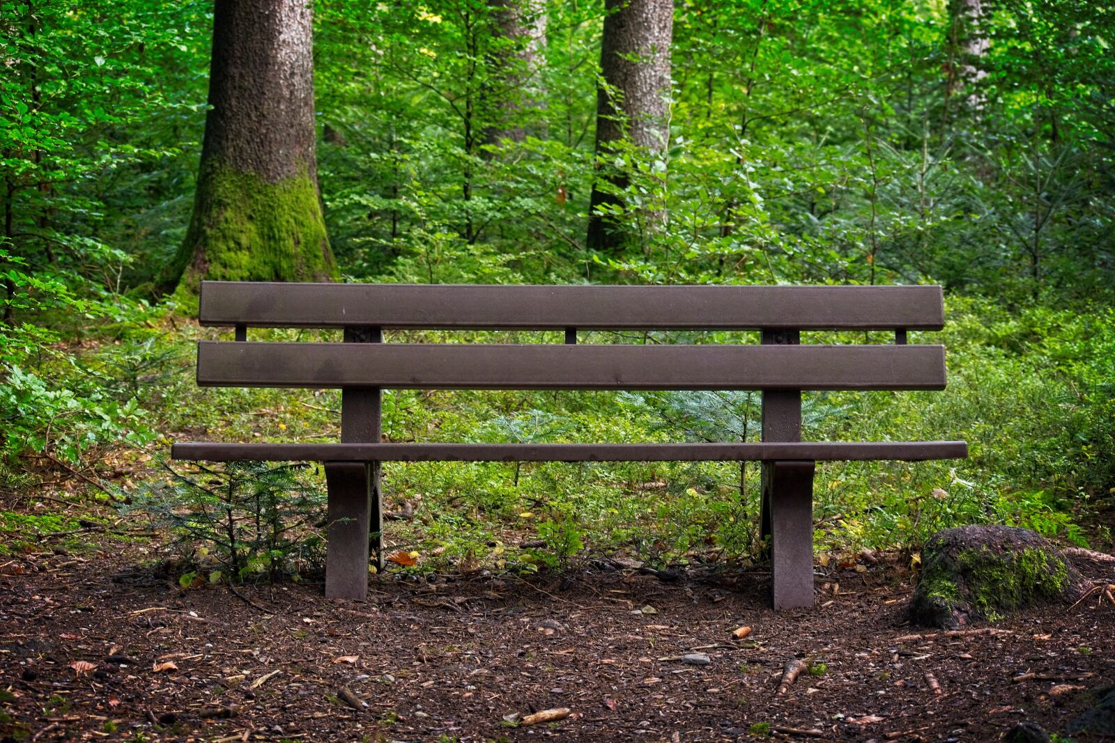 Nikon D7100 sample photo. Bench, forest, bank photography
