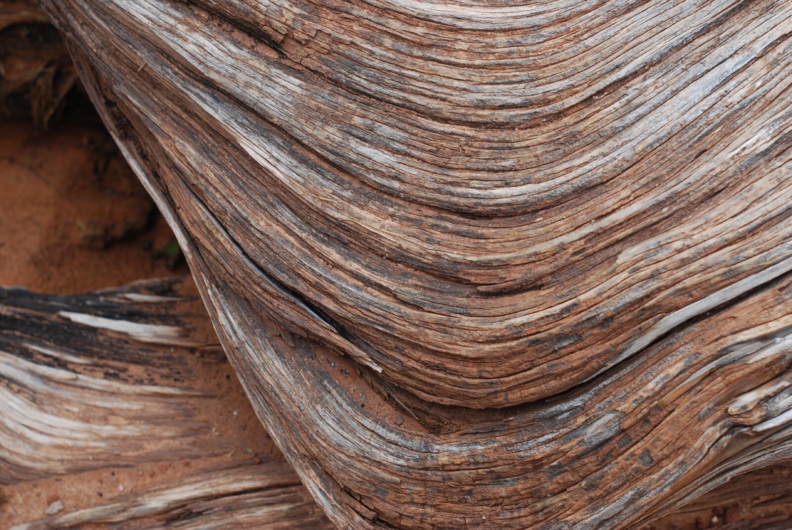 Nikon D40X sample photo. Wood, wood texture, texture photography