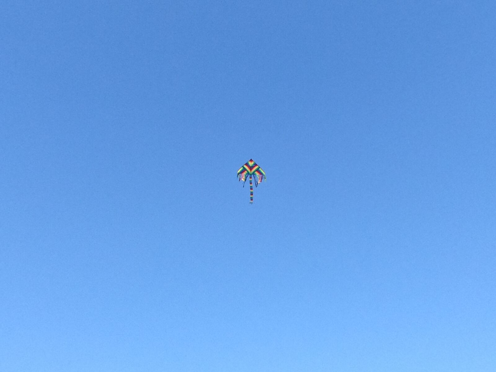 GoPro Hero7 Black sample photo. Kite, blue, sky photography