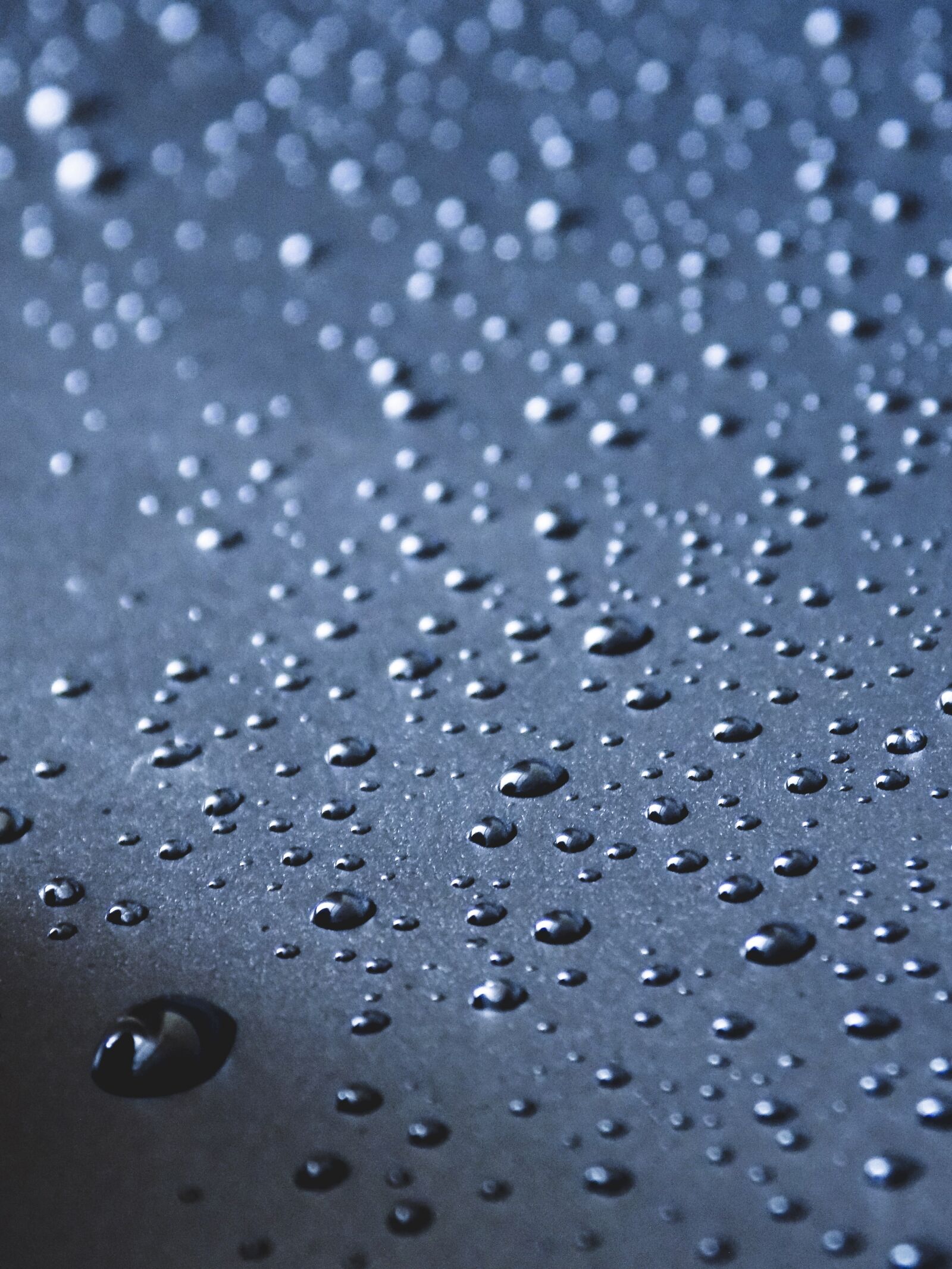 Nikon COOLPIX L330 sample photo. Drops, water, macro photography