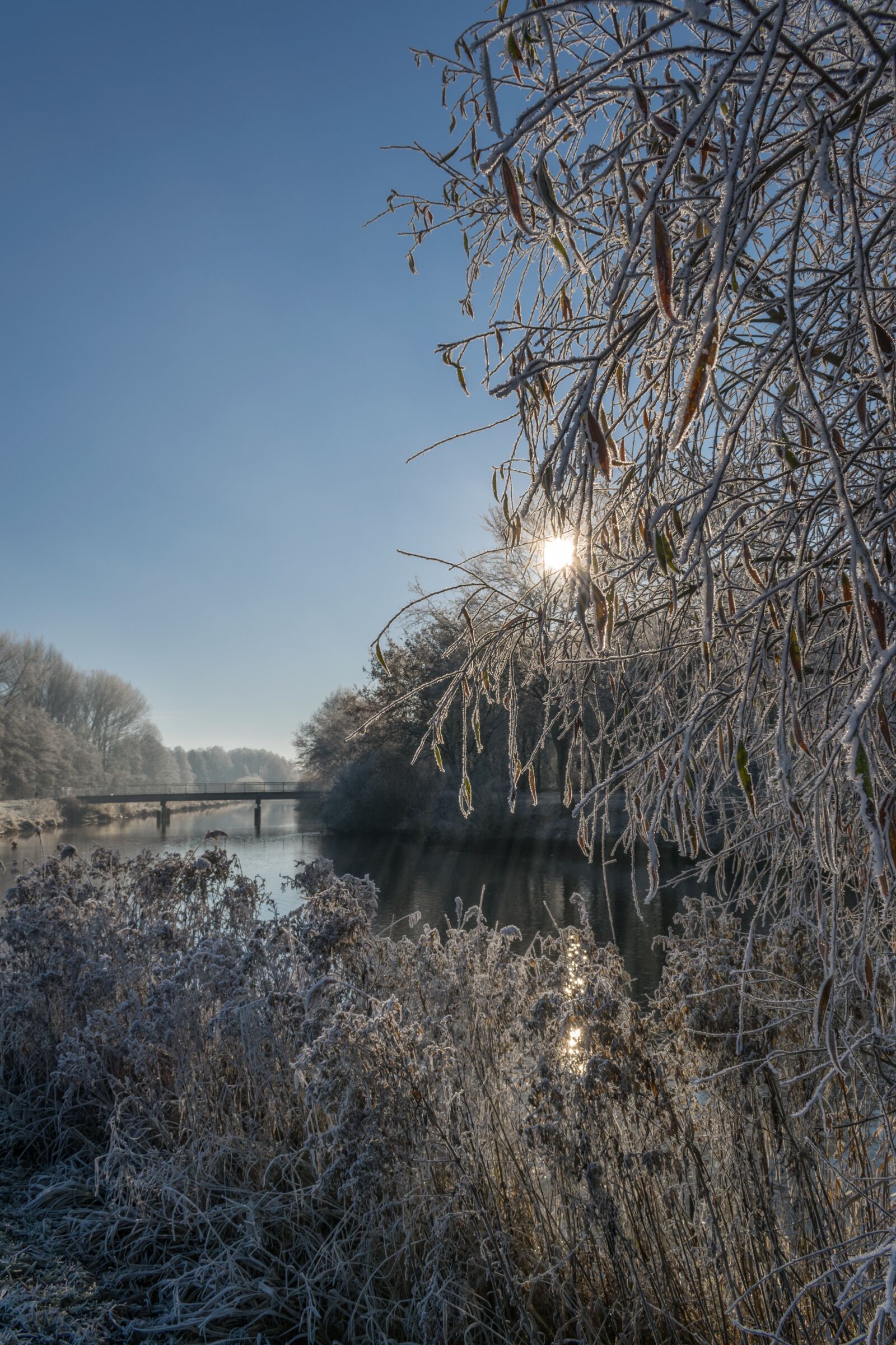 Nikon D5300 sample photo. Winter, sun, blue photography