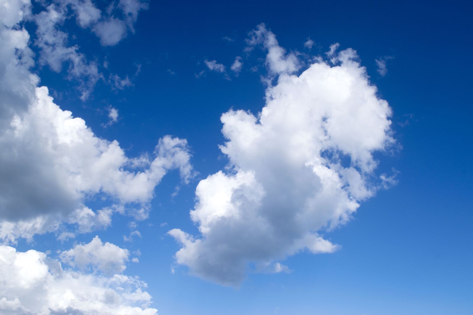 Nikon D5300 sample photo. Nature, summer, sky photography
