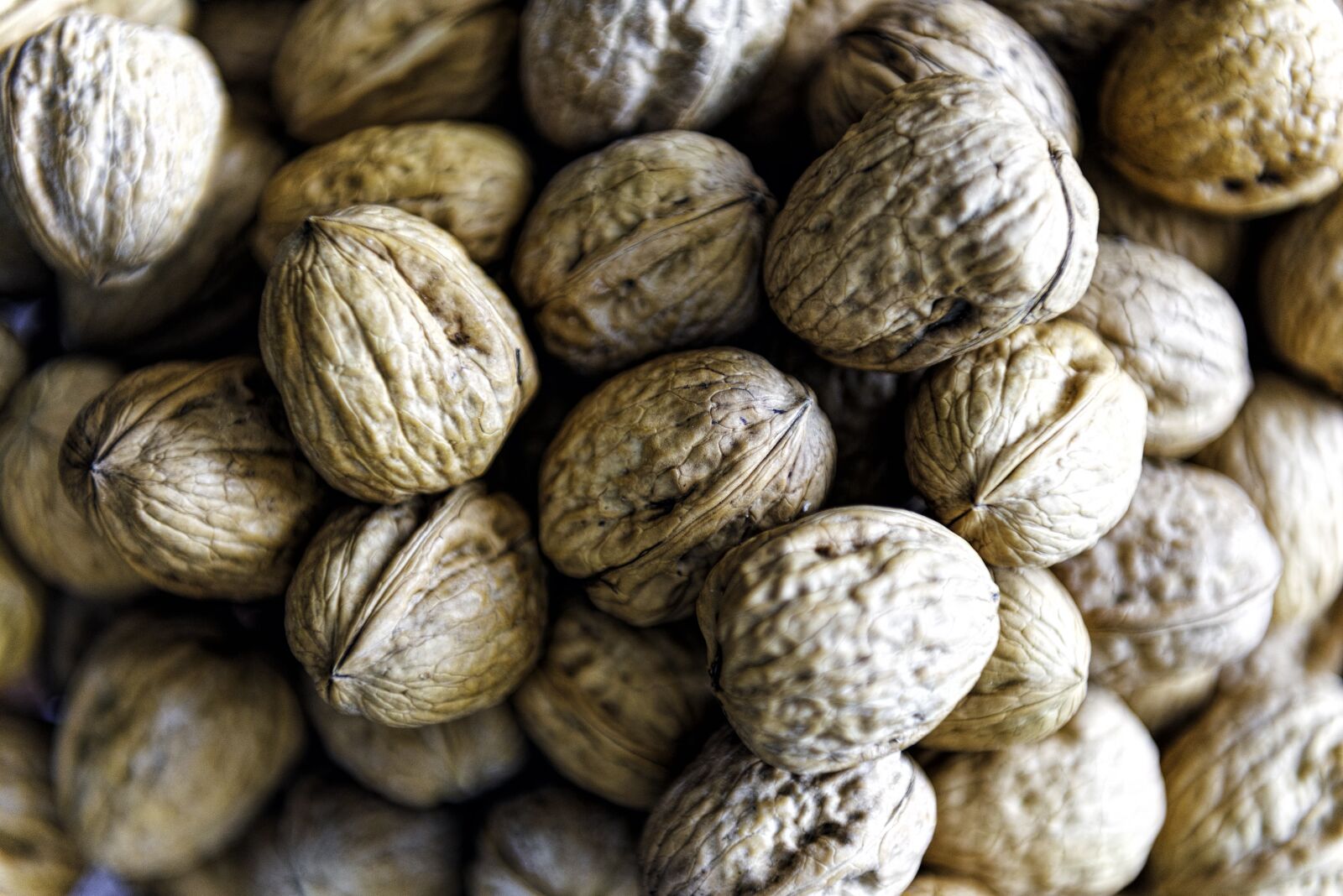 Nikon D610 sample photo. Walnuts, shell, food photography