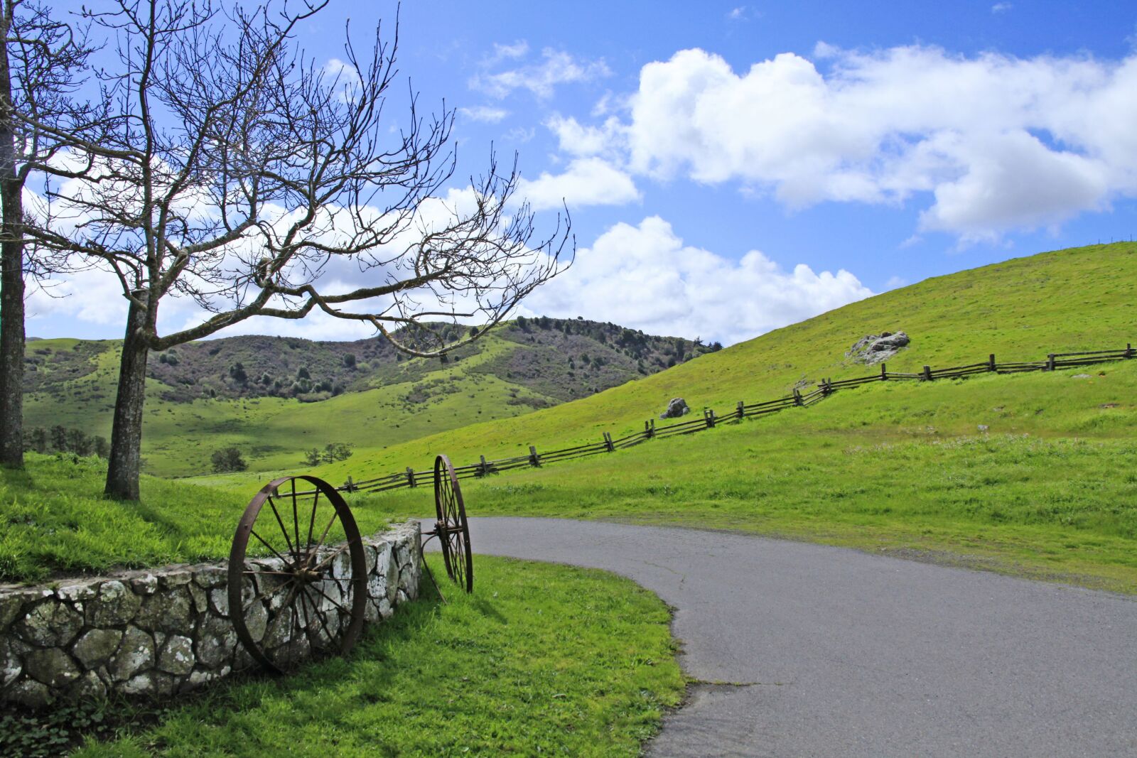 Canon EOS 5D Mark II sample photo. Landscape, nature, grass photography