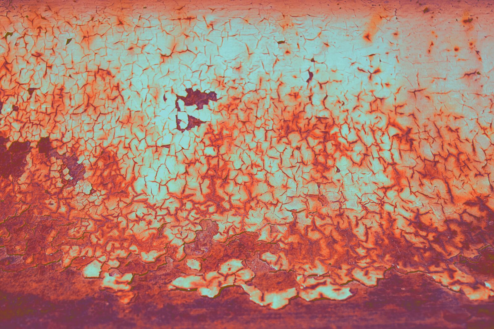 Nikon D3300 sample photo. Orange, blue, rust photography