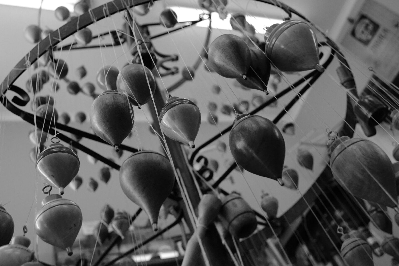 Nikon D3100 sample photo. Photography, photo, camera photography